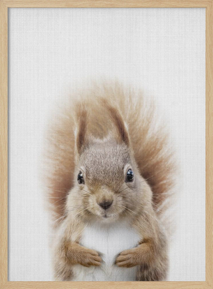 wall-art-print-canvas-poster-framed-Peekaboo Squirrel , By Lola Peacock-4