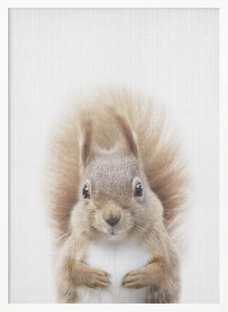 wall-art-print-canvas-poster-framed-Peekaboo Squirrel , By Lola Peacock-5