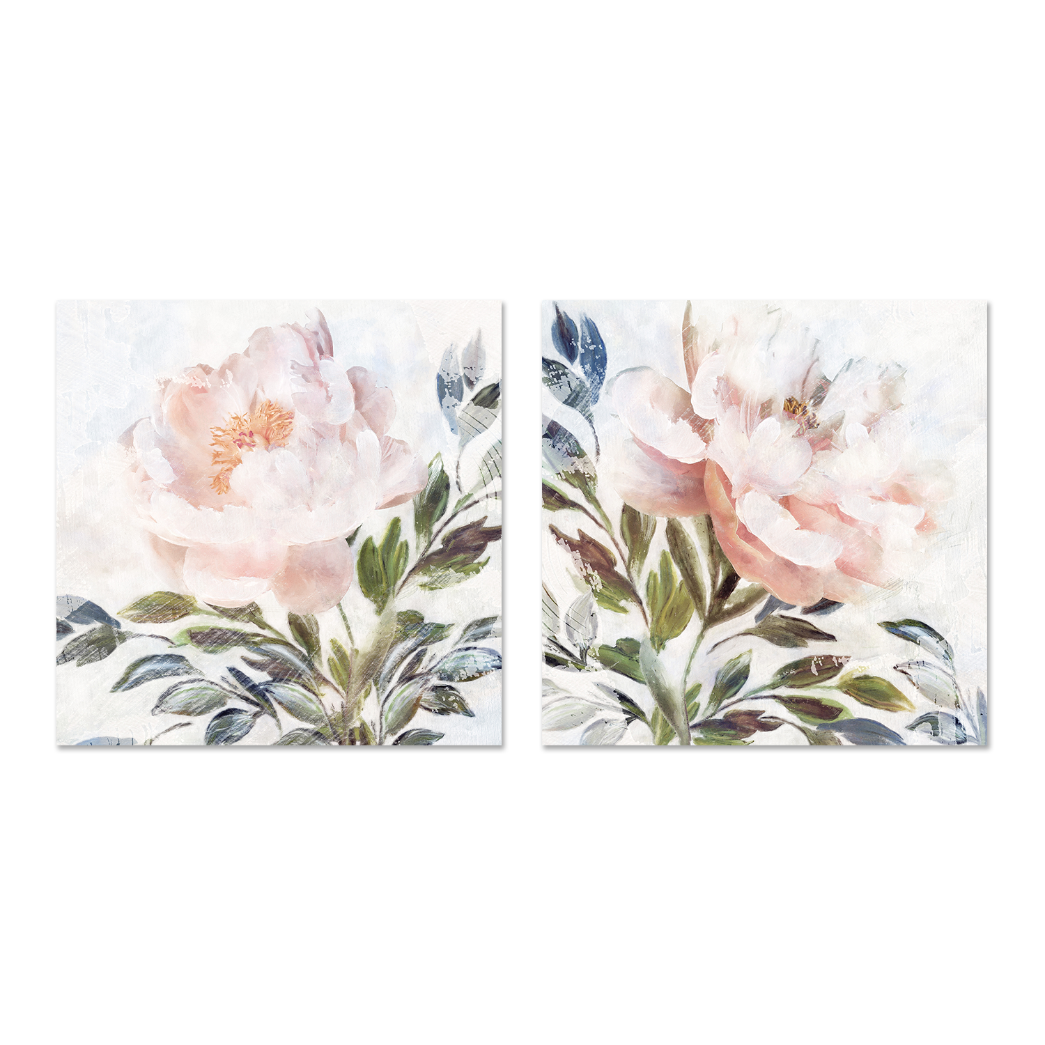 wall-art-print-canvas-poster-framed-Peony Melody, Style A & B, Set Of 2 , By Nina Blue-1