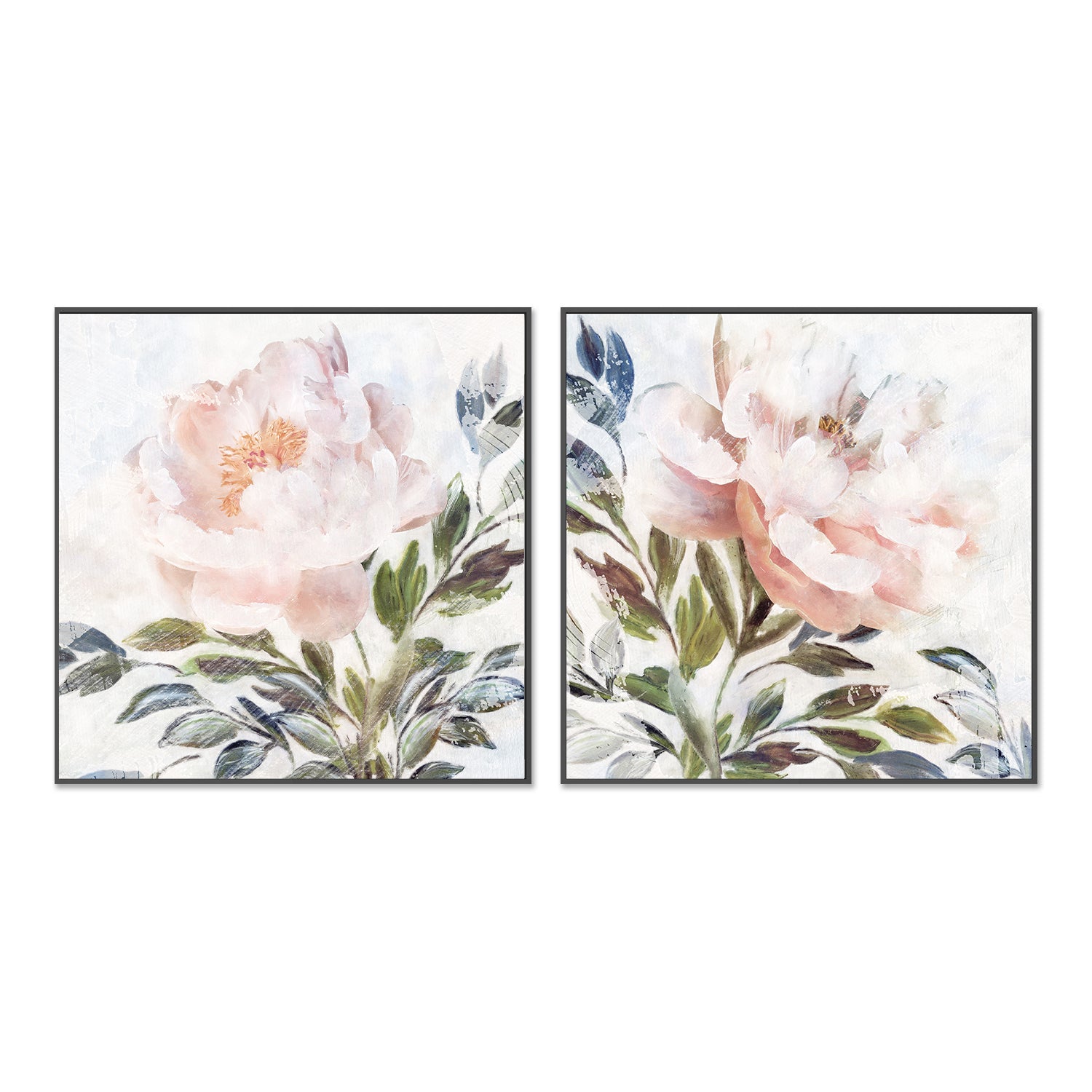 wall-art-print-canvas-poster-framed-Peony Melody, Style A & B, Set Of 2 , By Nina Blue-3