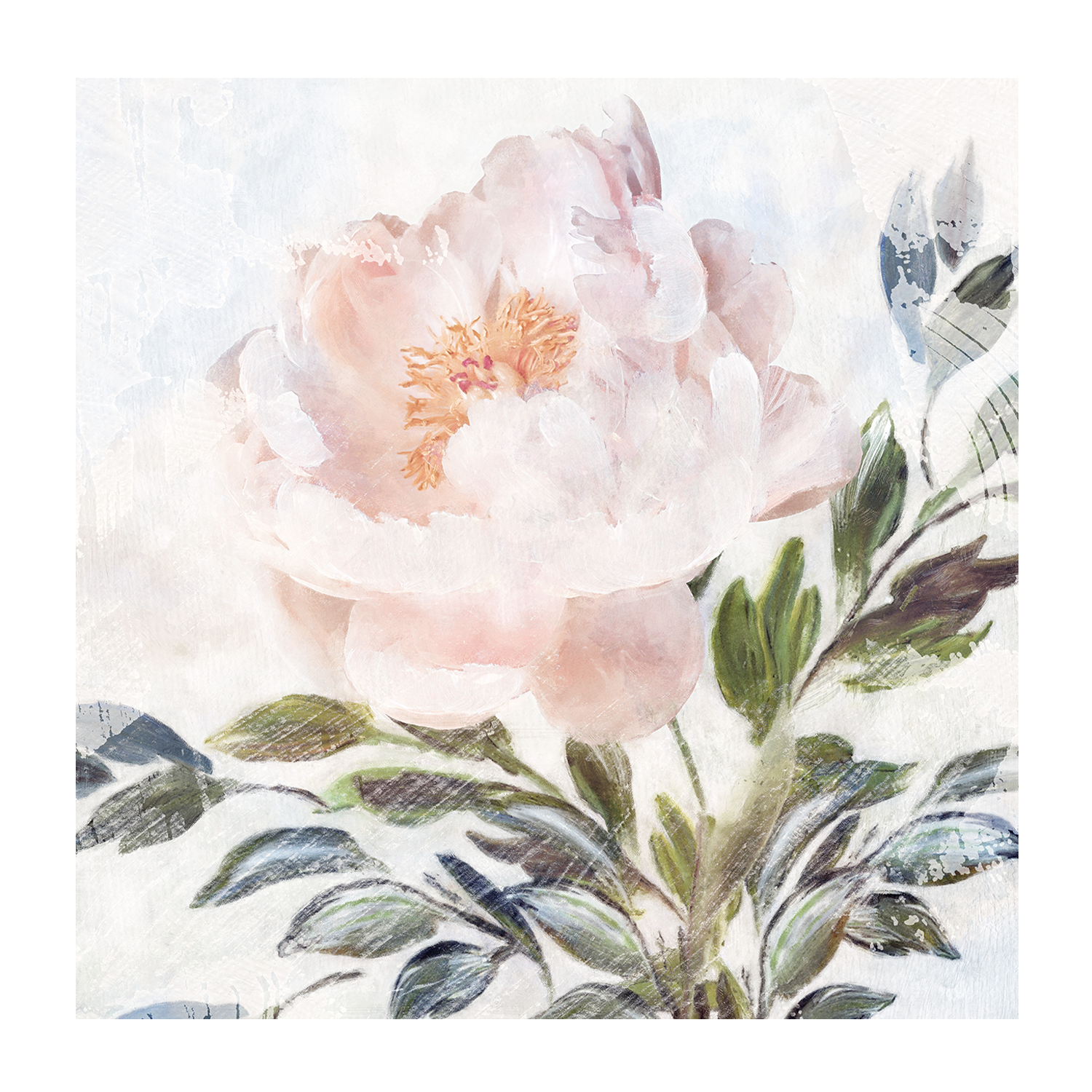 wall-art-print-canvas-poster-framed-Peony Melody, Style A & B, Set Of 2 , By Nina Blue-8