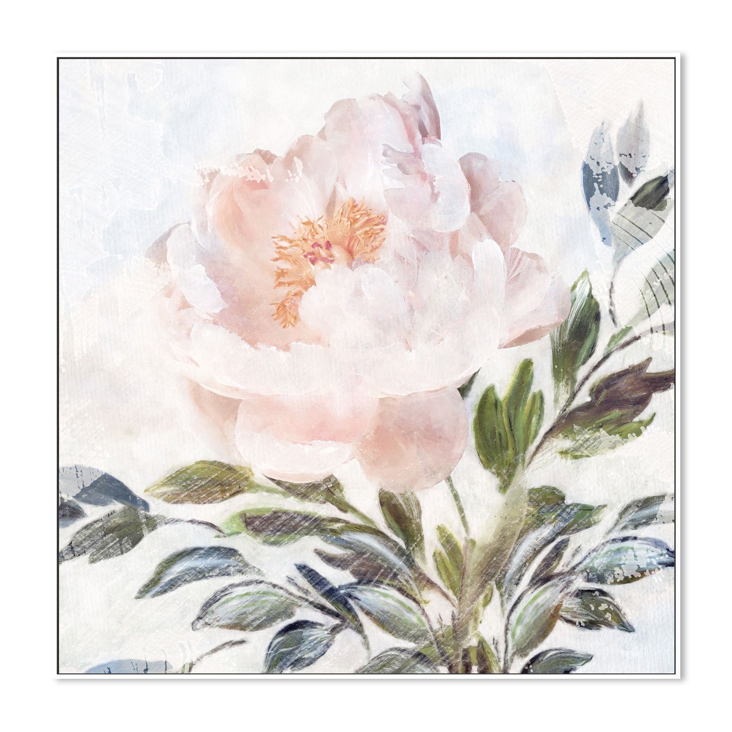 wall-art-print-canvas-poster-framed-Peony Melody, Style A , By Nina Blue-5