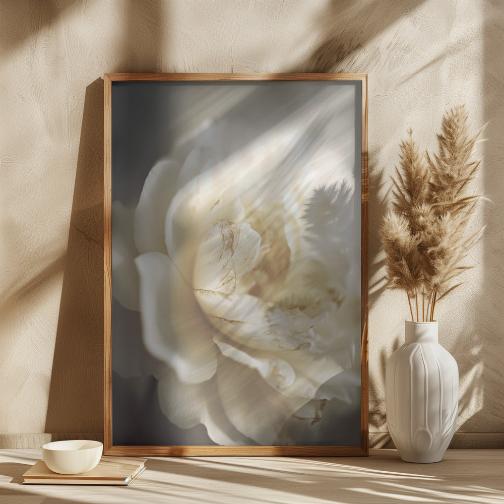 wall-art-print-canvas-poster-framed-Peonyinsoftlight , By Treechild-2