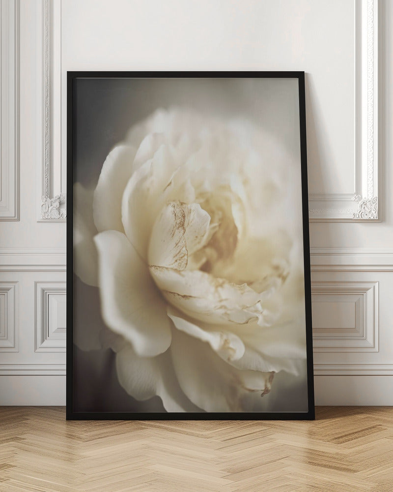 wall-art-print-canvas-poster-framed-Peonyinsoftlight , By Treechild-3