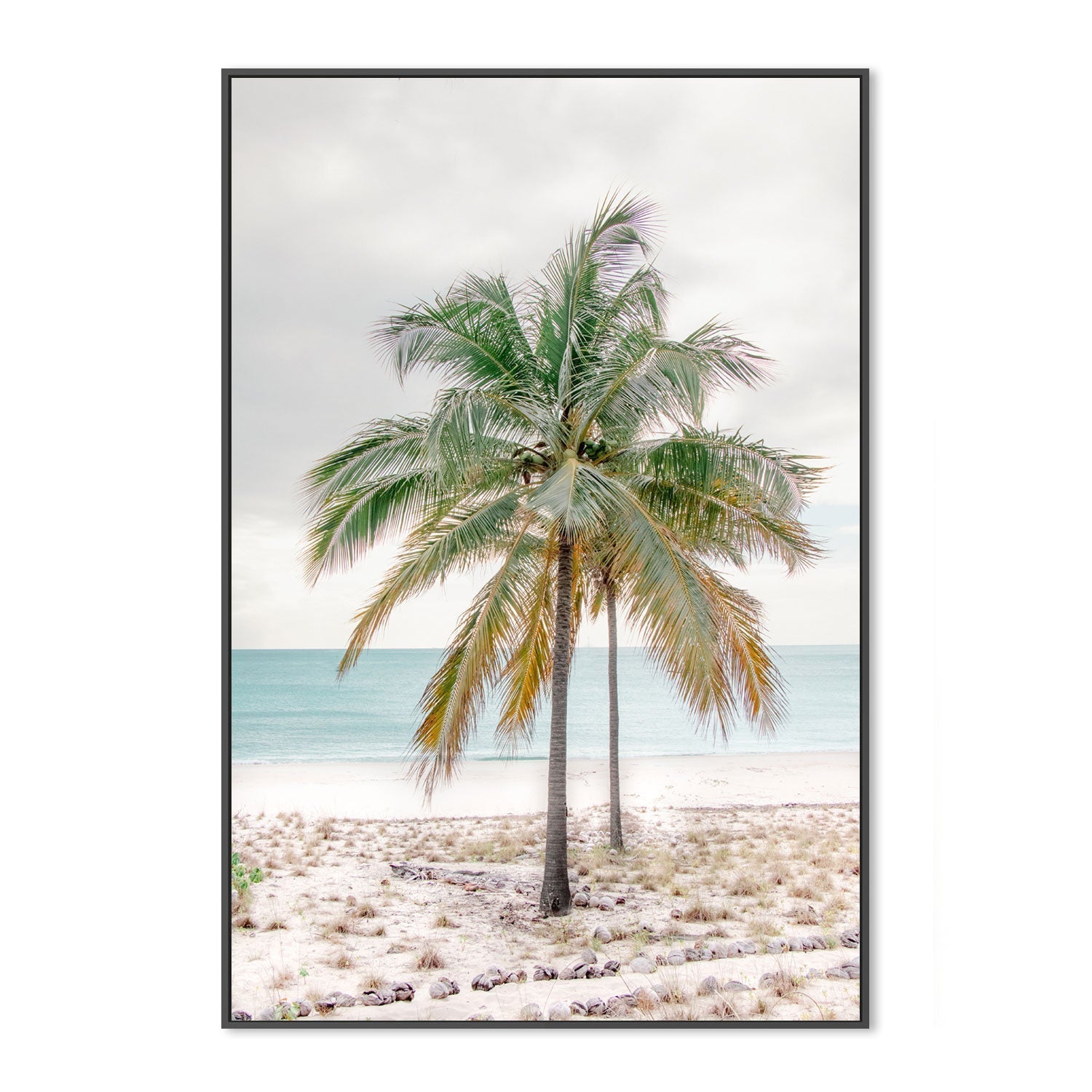 wall-art-print-canvas-poster-framed-Percy Island Palm, Middle Percy Island, Queensland , By Earth Sea & Me , By Earth Sea & Me-GIOIA-WALL-ART