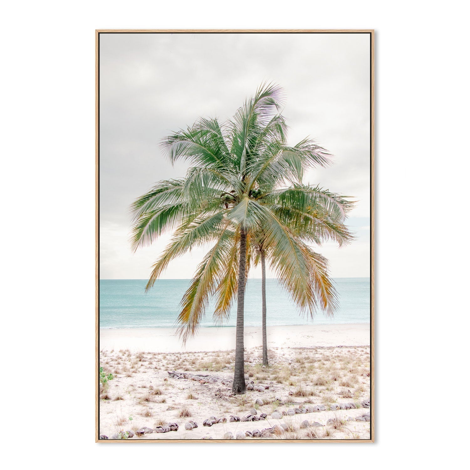 wall-art-print-canvas-poster-framed-Percy Island Palm, Middle Percy Island, Queensland , By Earth Sea & Me , By Earth Sea & Me-GIOIA-WALL-ART