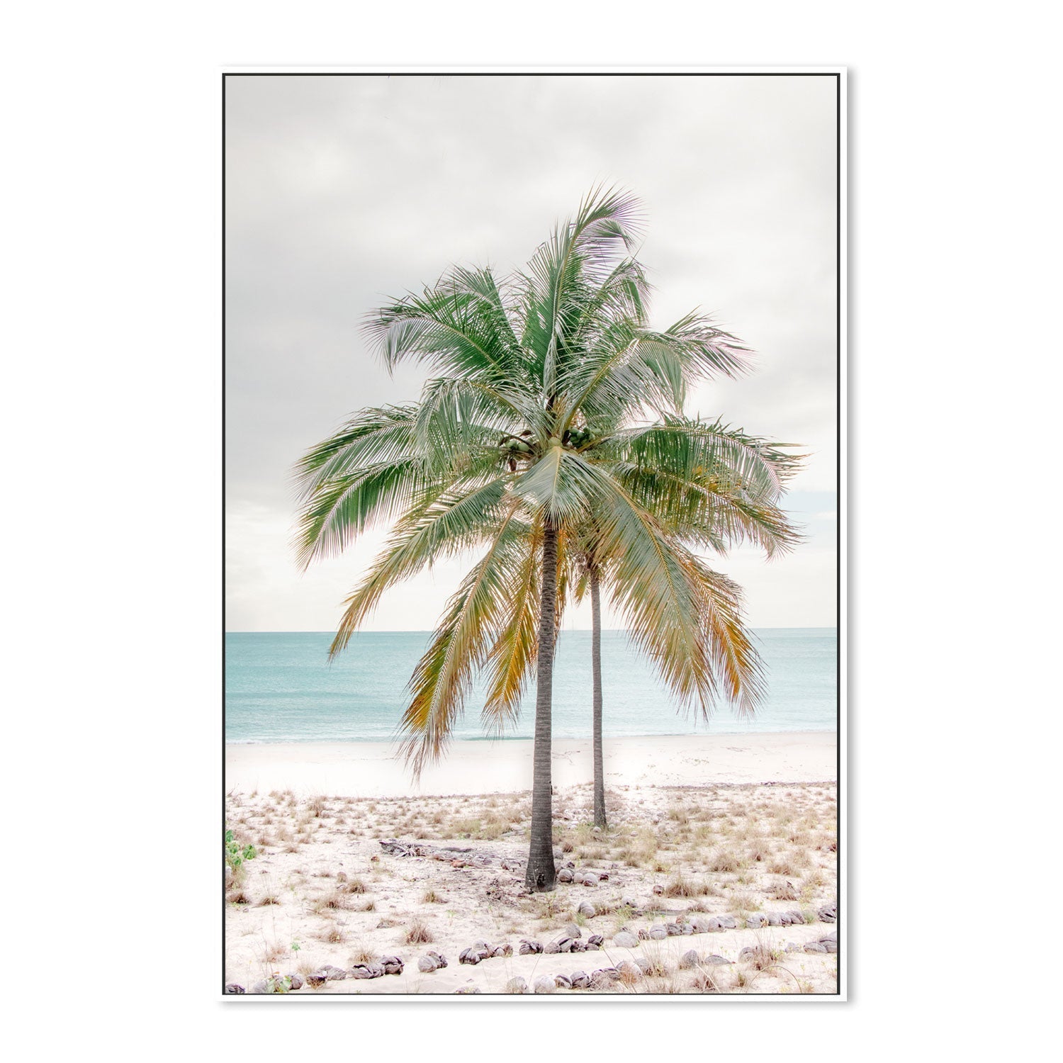 wall-art-print-canvas-poster-framed-Percy Island Palm, Middle Percy Island, Queensland , By Earth Sea & Me , By Earth Sea & Me-GIOIA-WALL-ART