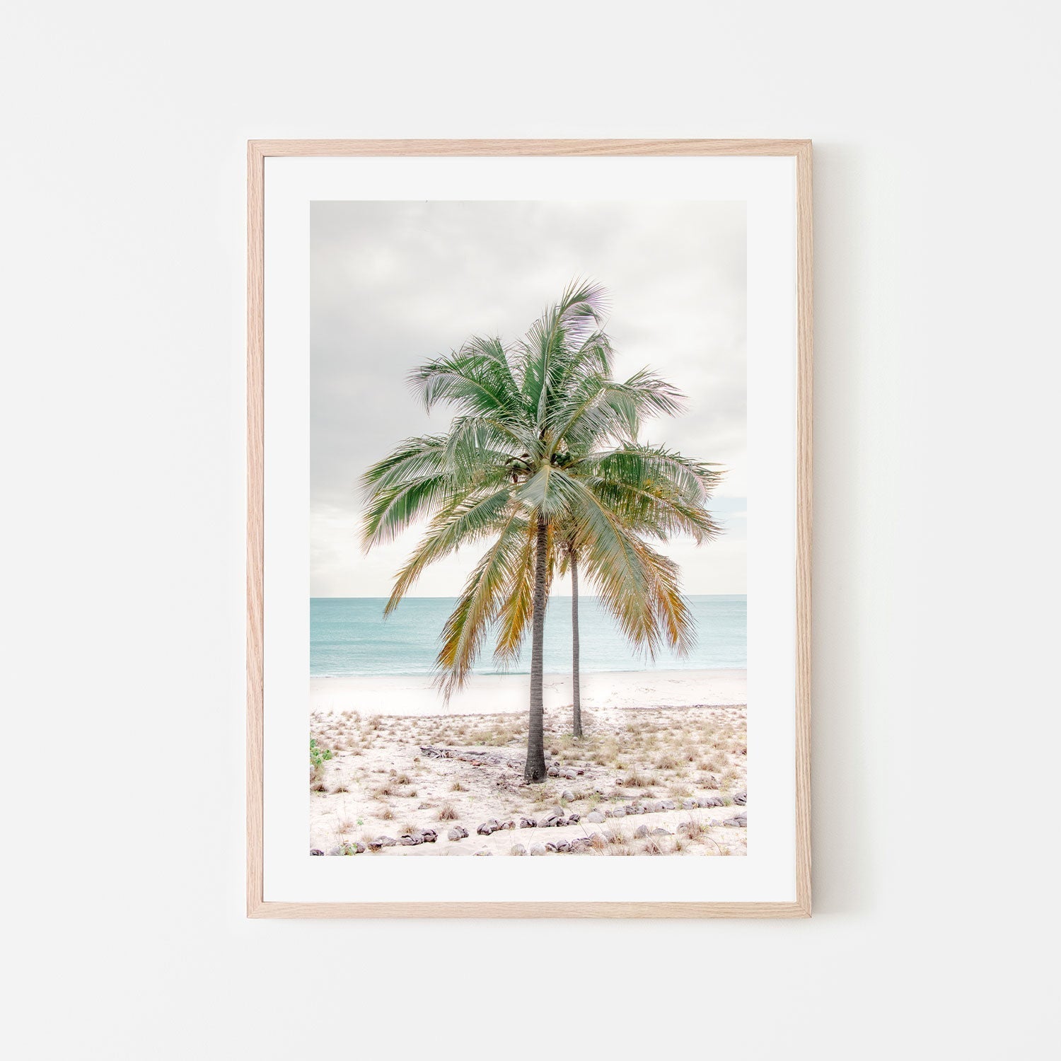 wall-art-print-canvas-poster-framed-Percy Island Palm, Middle Percy Island, Queensland , By Earth Sea & Me , By Earth Sea & Me-GIOIA-WALL-ART