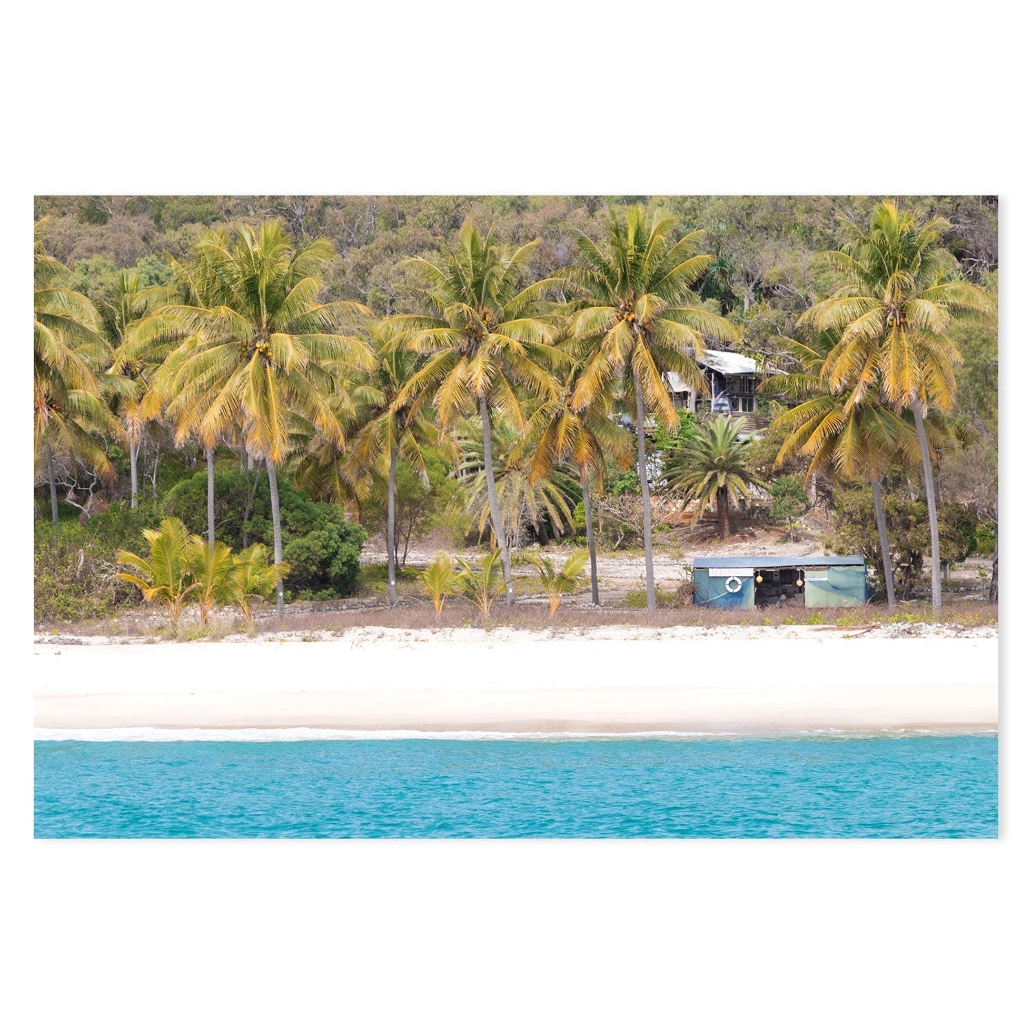 wall-art-print-canvas-poster-framed-Percy Palm, Middle Percy Island, Queensland , By Earth Sea & Me , By Earth Sea & Me-GIOIA-WALL-ART