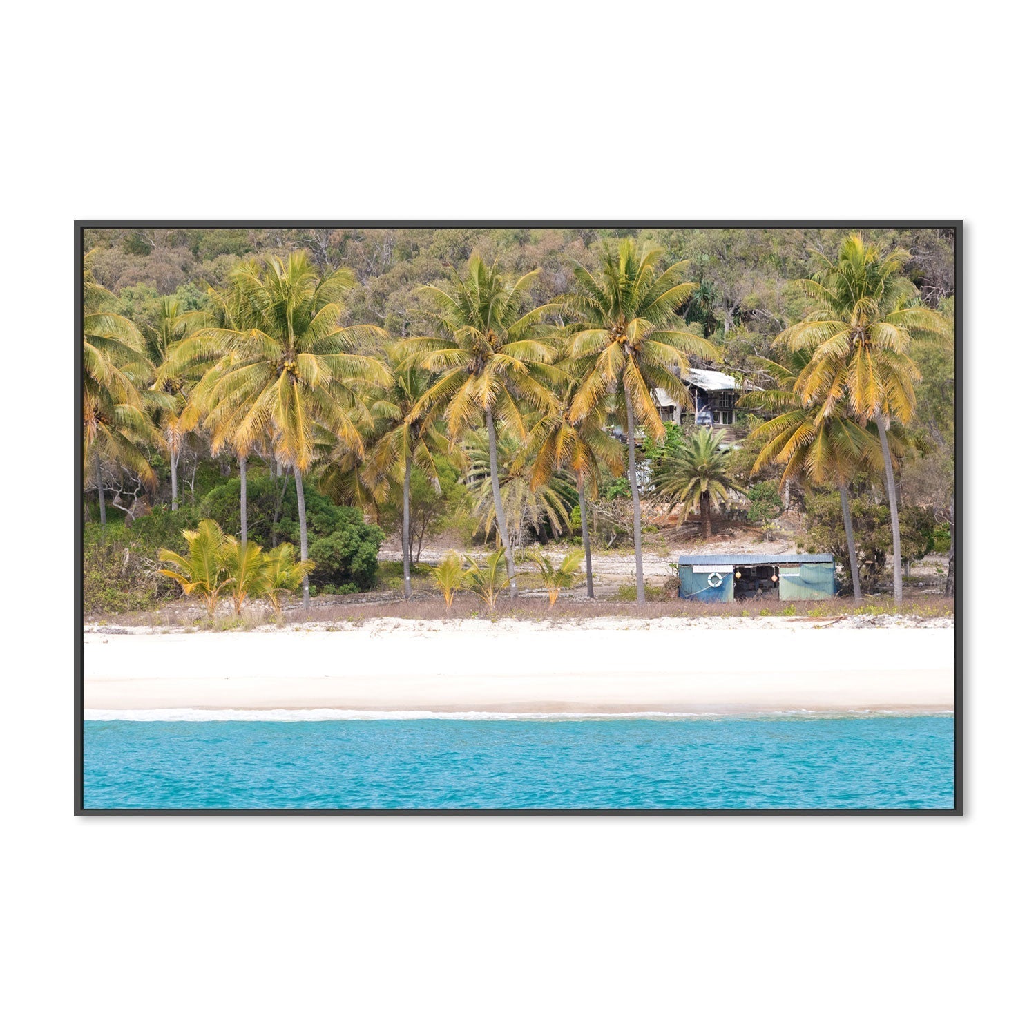 wall-art-print-canvas-poster-framed-Percy Palm, Middle Percy Island, Queensland , By Earth Sea & Me , By Earth Sea & Me-GIOIA-WALL-ART