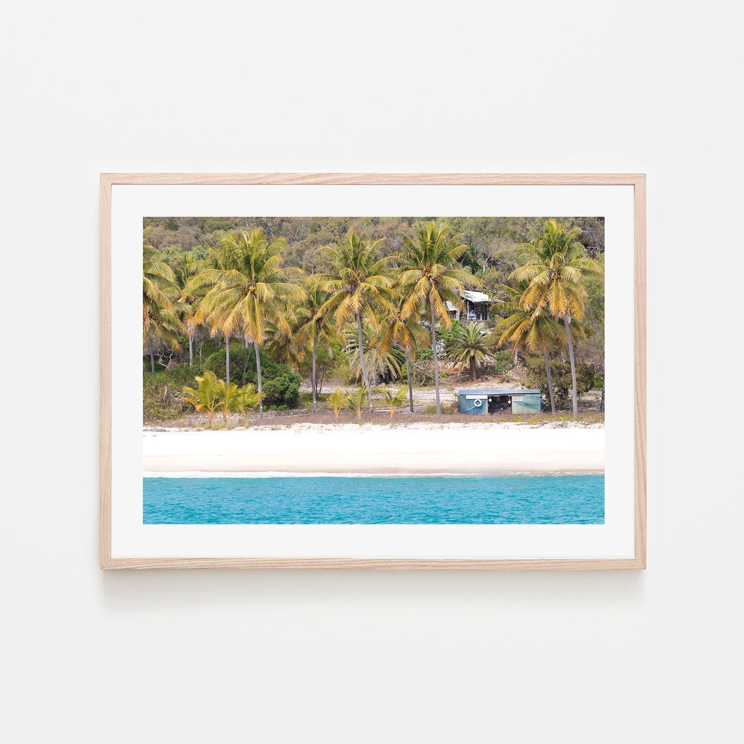 wall-art-print-canvas-poster-framed-Percy Palm, Middle Percy Island, Queensland , By Earth Sea & Me , By Earth Sea & Me-GIOIA-WALL-ART