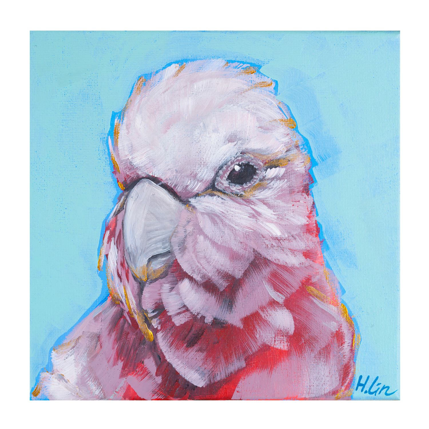 wall-art-print-canvas-poster-framed-Pink Galah , By Hsin Lin-GIOIA-WALL-ART