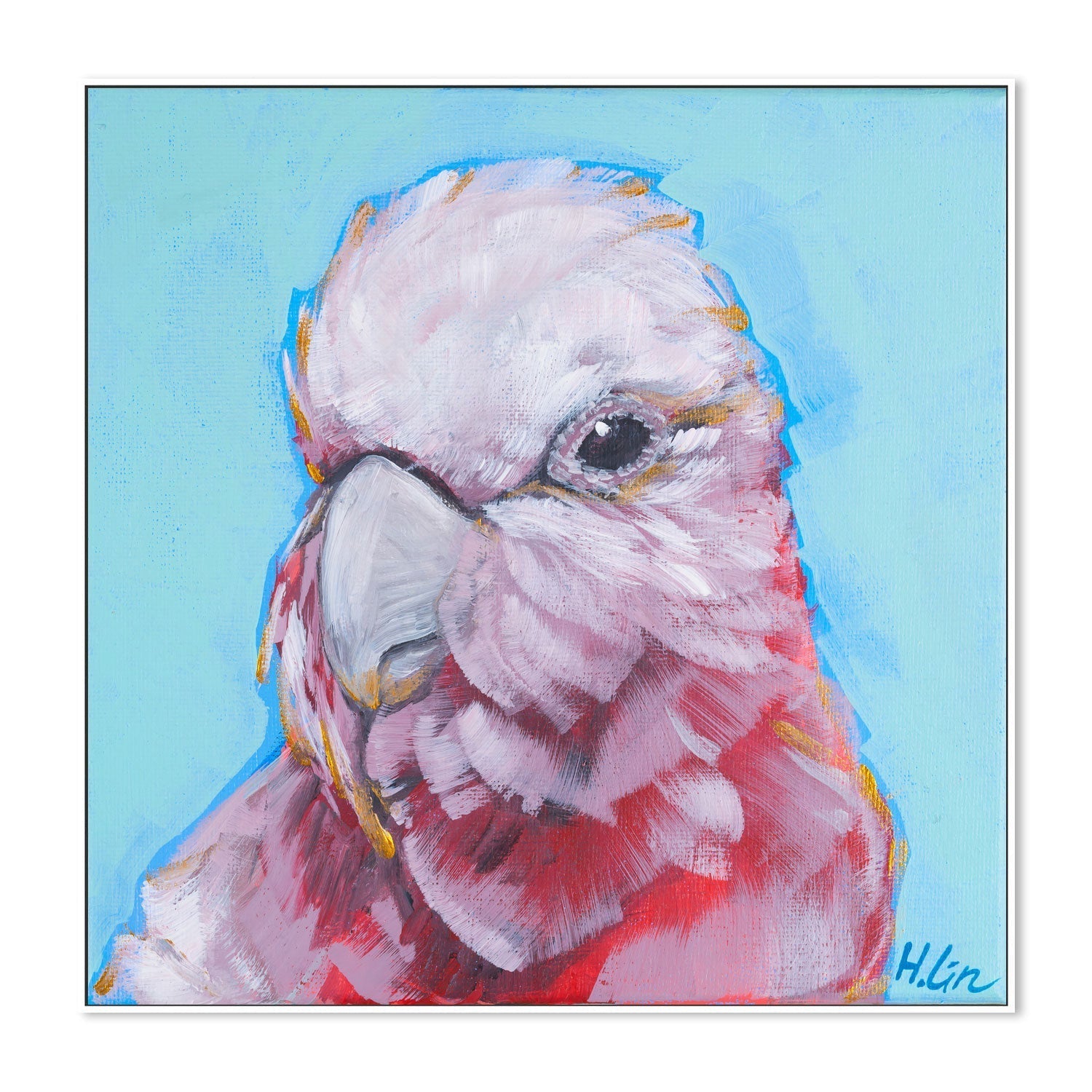 wall-art-print-canvas-poster-framed-Pink Galah , By Hsin Lin-GIOIA-WALL-ART