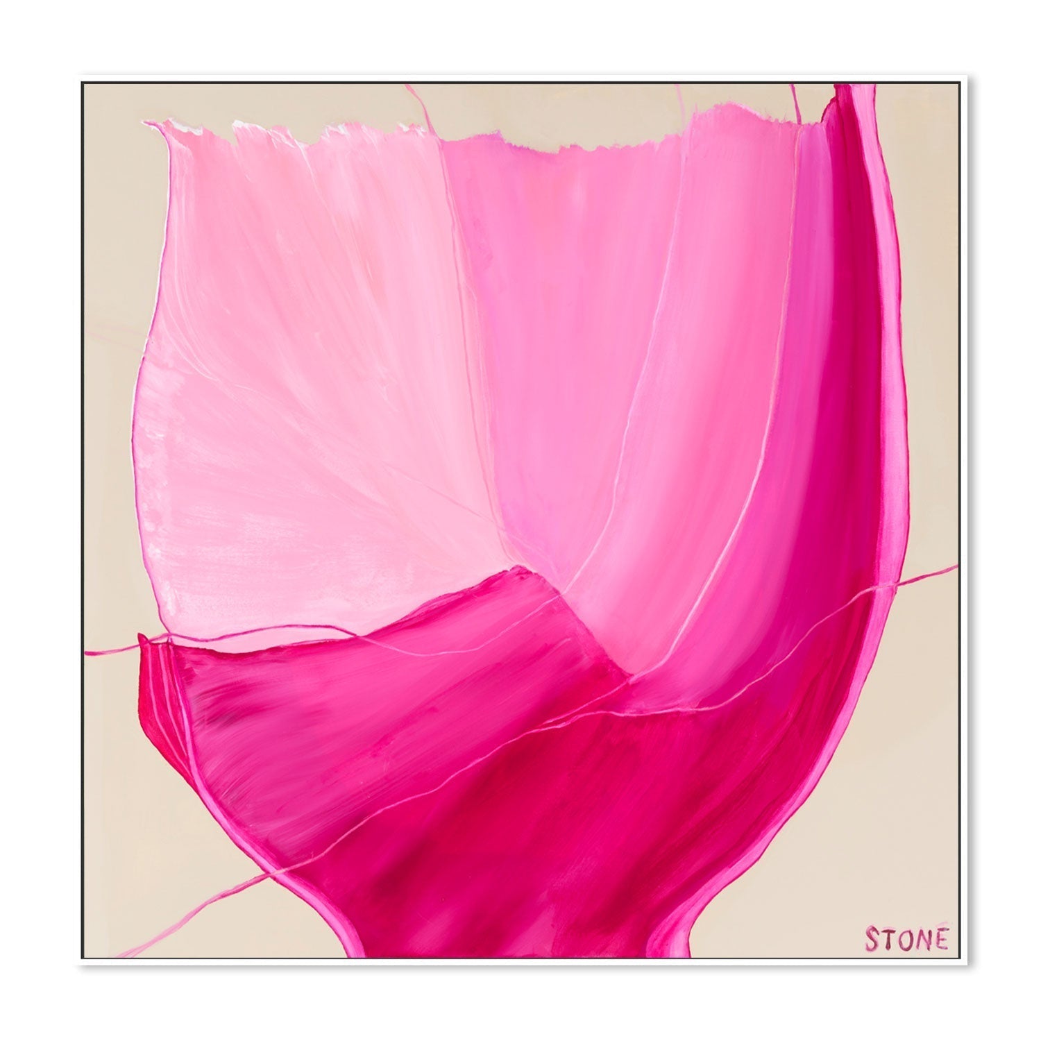 wall-art-print-canvas-poster-framed-Pink Luxe , By Belinda Stone-GIOIA-WALL-ART