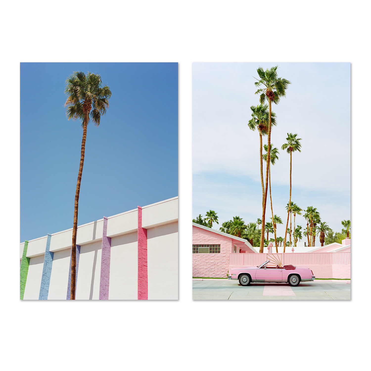 wall-art-print-canvas-poster-framed-Pink Palm Springs & Palm Springs II, Set Of 2 , By Bethany Young-1