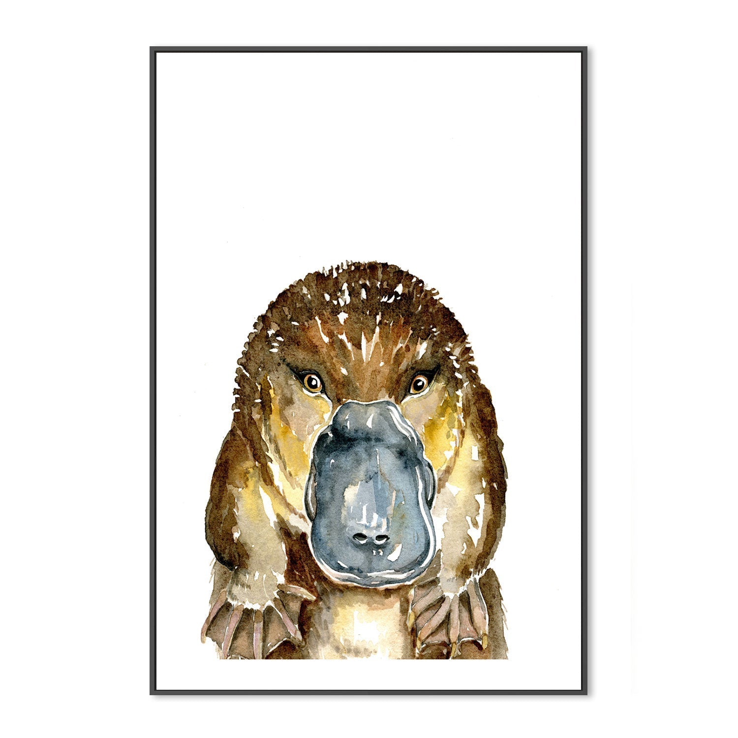 wall-art-print-canvas-poster-framed-Platypus , By Jessie Mitchelson-GIOIA-WALL-ART