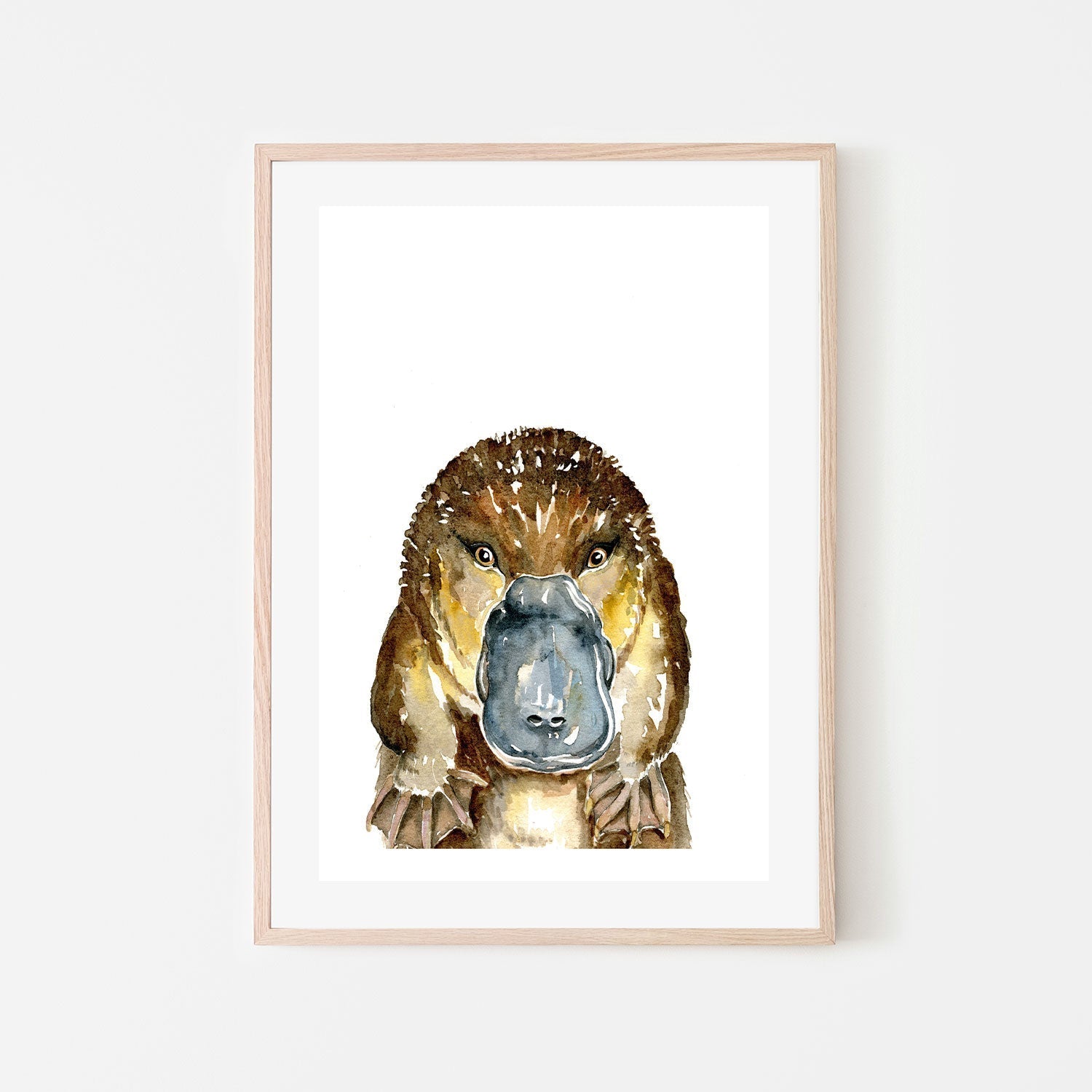 wall-art-print-canvas-poster-framed-Platypus , By Jessie Mitchelson-GIOIA-WALL-ART