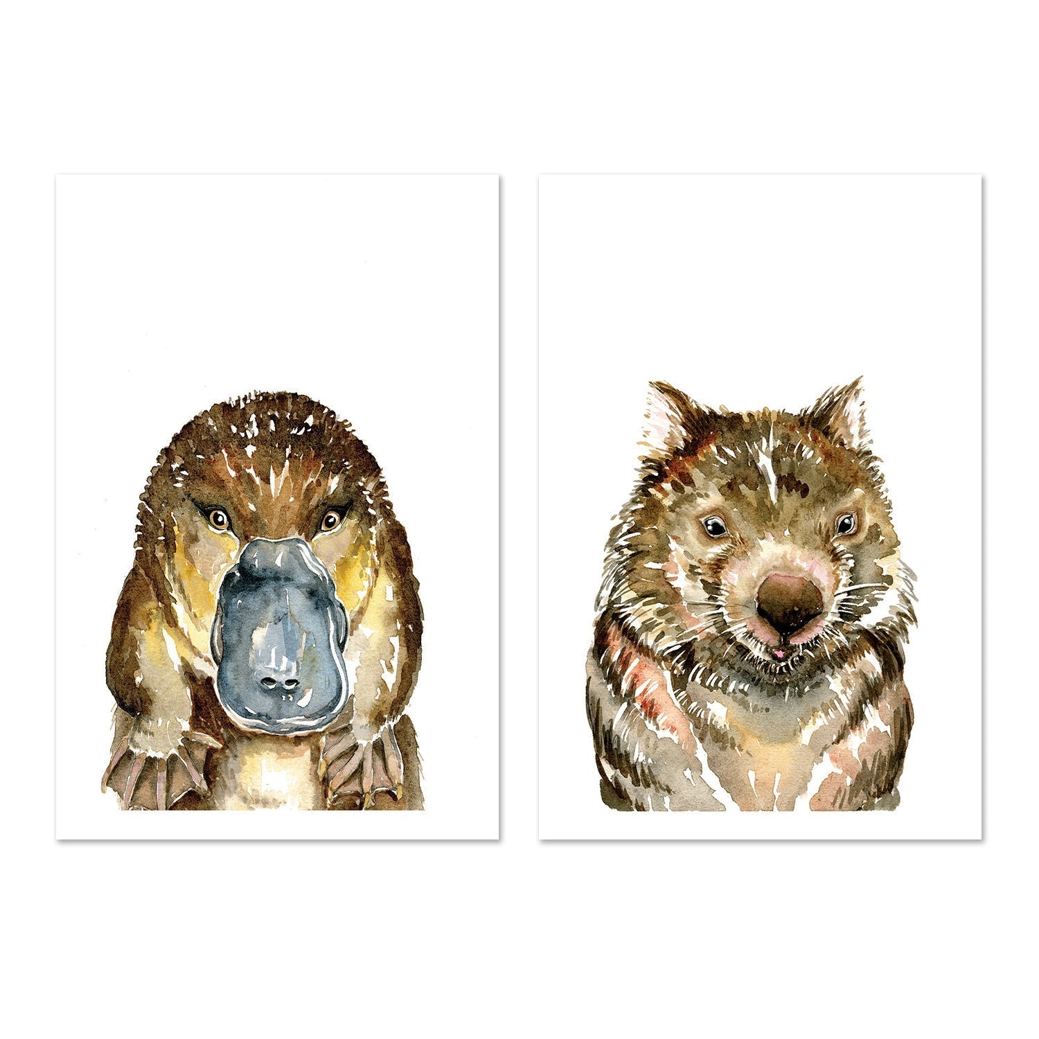 wall-art-print-canvas-poster-framed-Platypus & Wombat, Set of 2 , By Jessie Mitchelson-GIOIA-WALL-ART