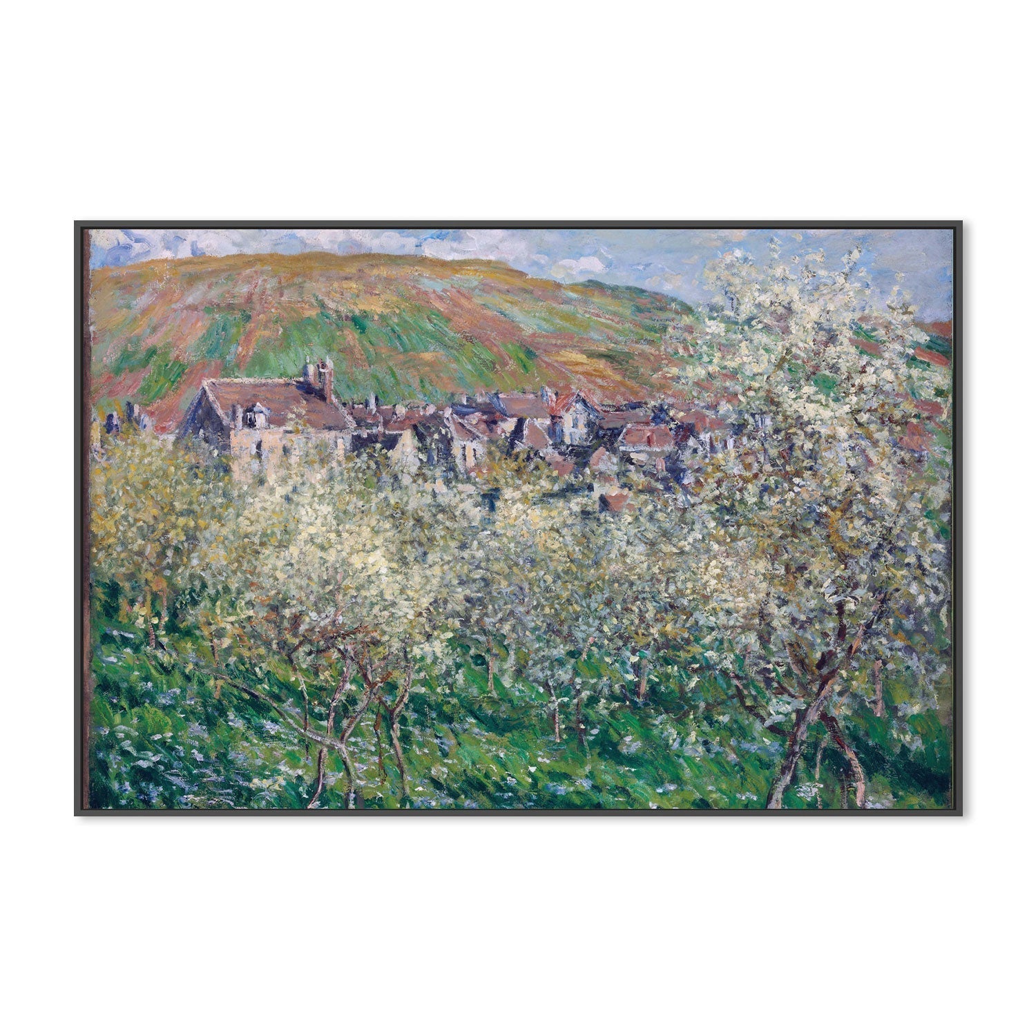 wall-art-print-canvas-poster-framed-Plum Trees in Blossom at Vetheuil 1879 , By Monet-by-Gioia Wall Art-Gioia Wall Art