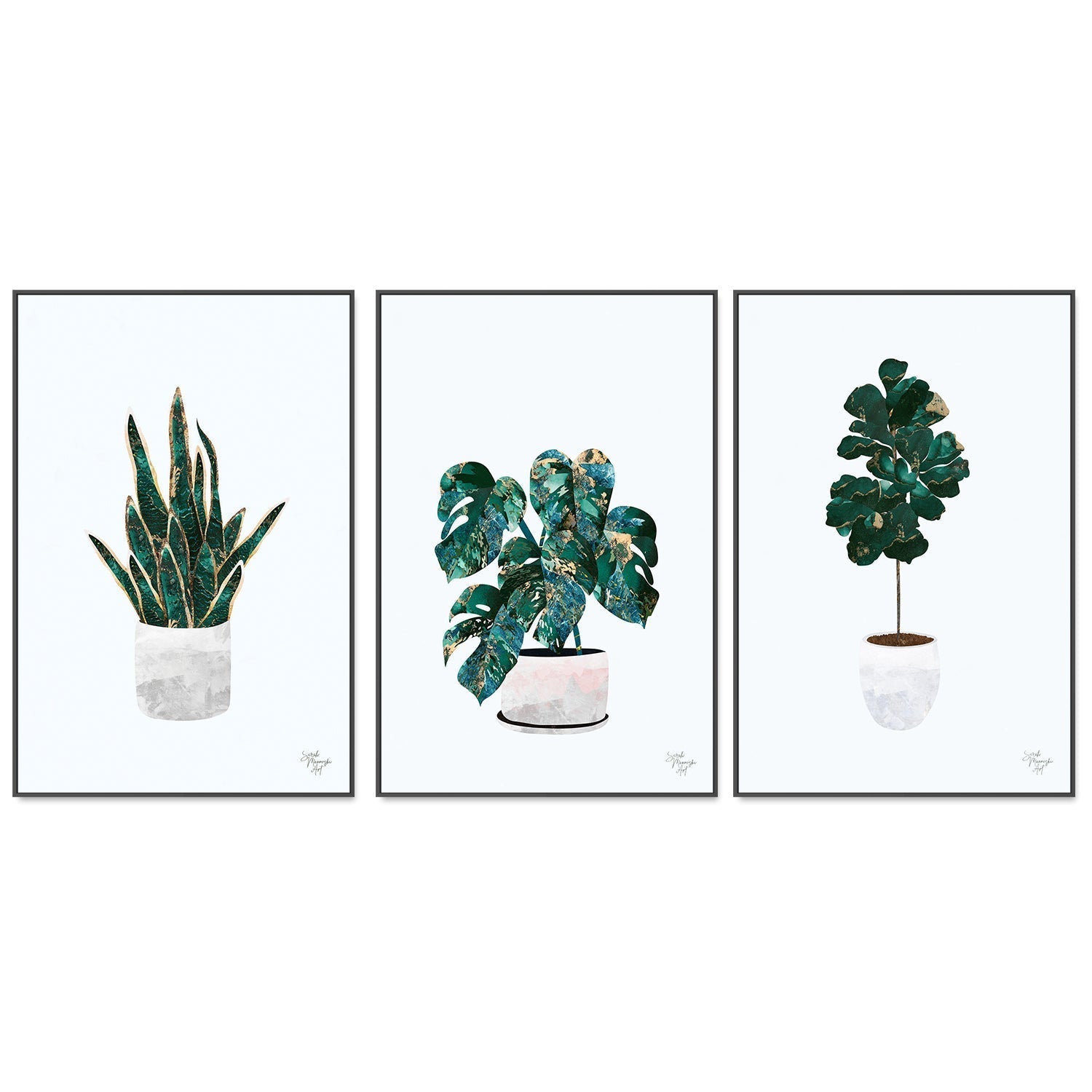 wall-art-print-canvas-poster-framed-Pot Plant, Style A, B & C, Set Of 3 , By Sarah Manovski-GIOIA-WALL-ART