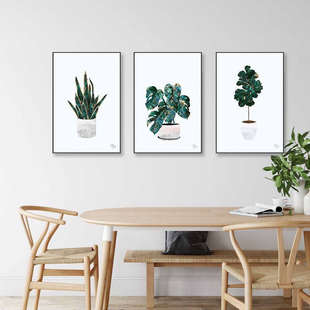 wall-art-print-canvas-poster-framed-Pot Plant, Style A, B & C, Set Of 3 , By Sarah Manovski-GIOIA-WALL-ART