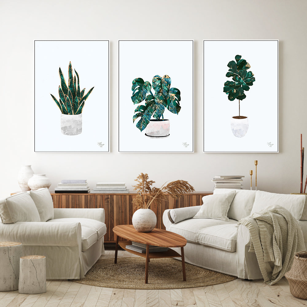 wall-art-print-canvas-poster-framed-Pot Plant, Style A, B & C, Set Of 3 , By Sarah Manovski-GIOIA-WALL-ART