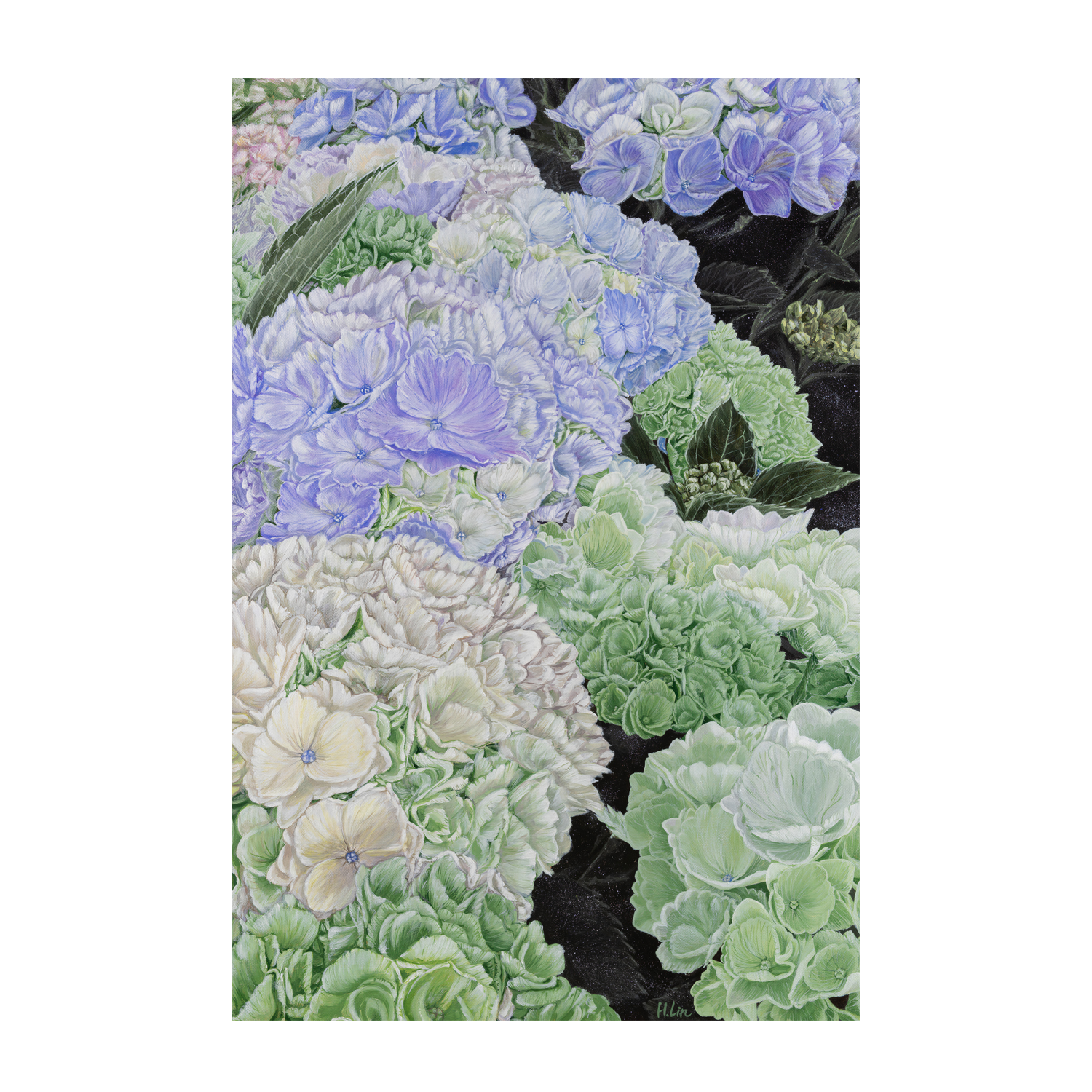 wall-art-print-canvas-poster-framed-Premium Hydrangea , By Hsin Lin-GIOIA-WALL-ART