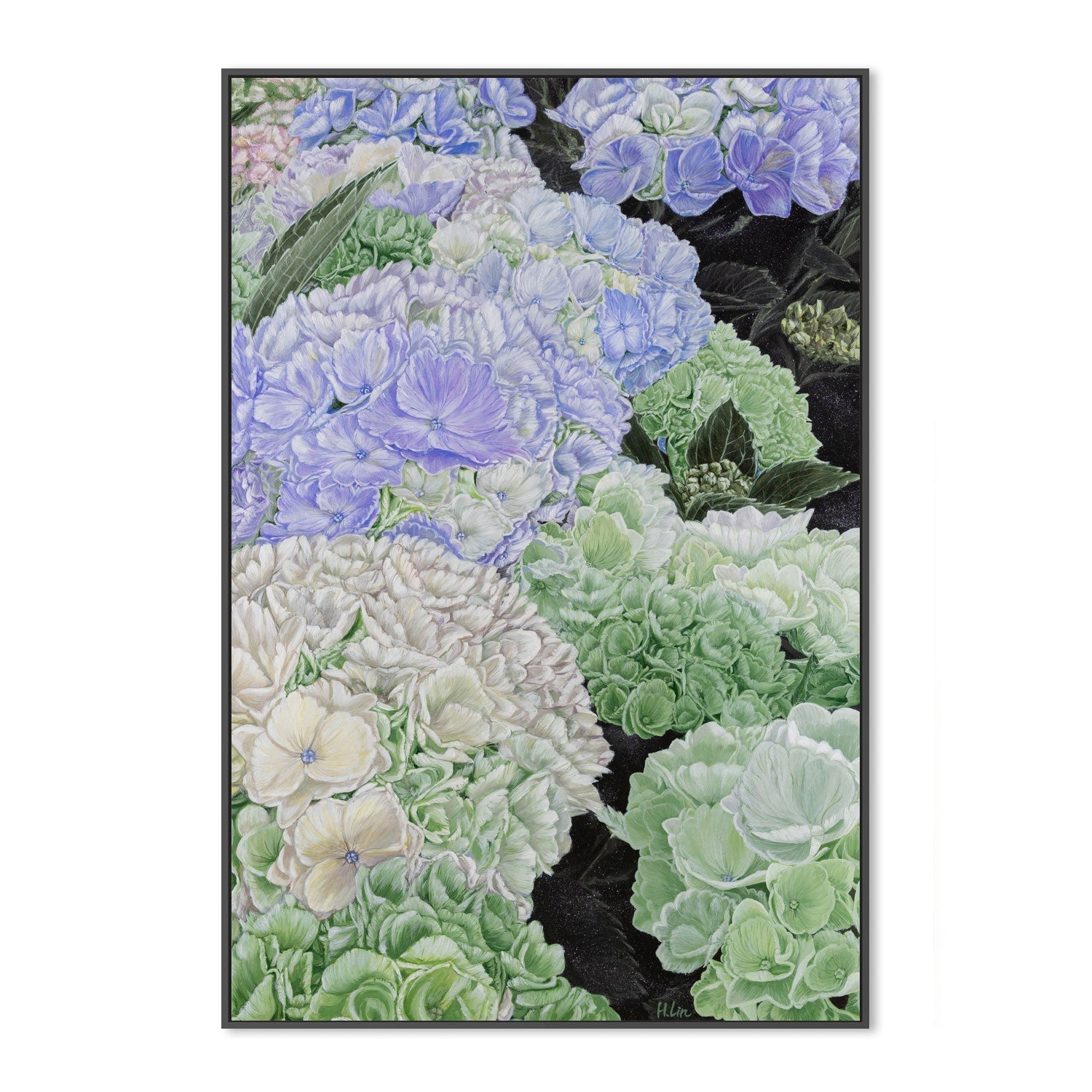 wall-art-print-canvas-poster-framed-Premium Hydrangea , By Hsin Lin-GIOIA-WALL-ART