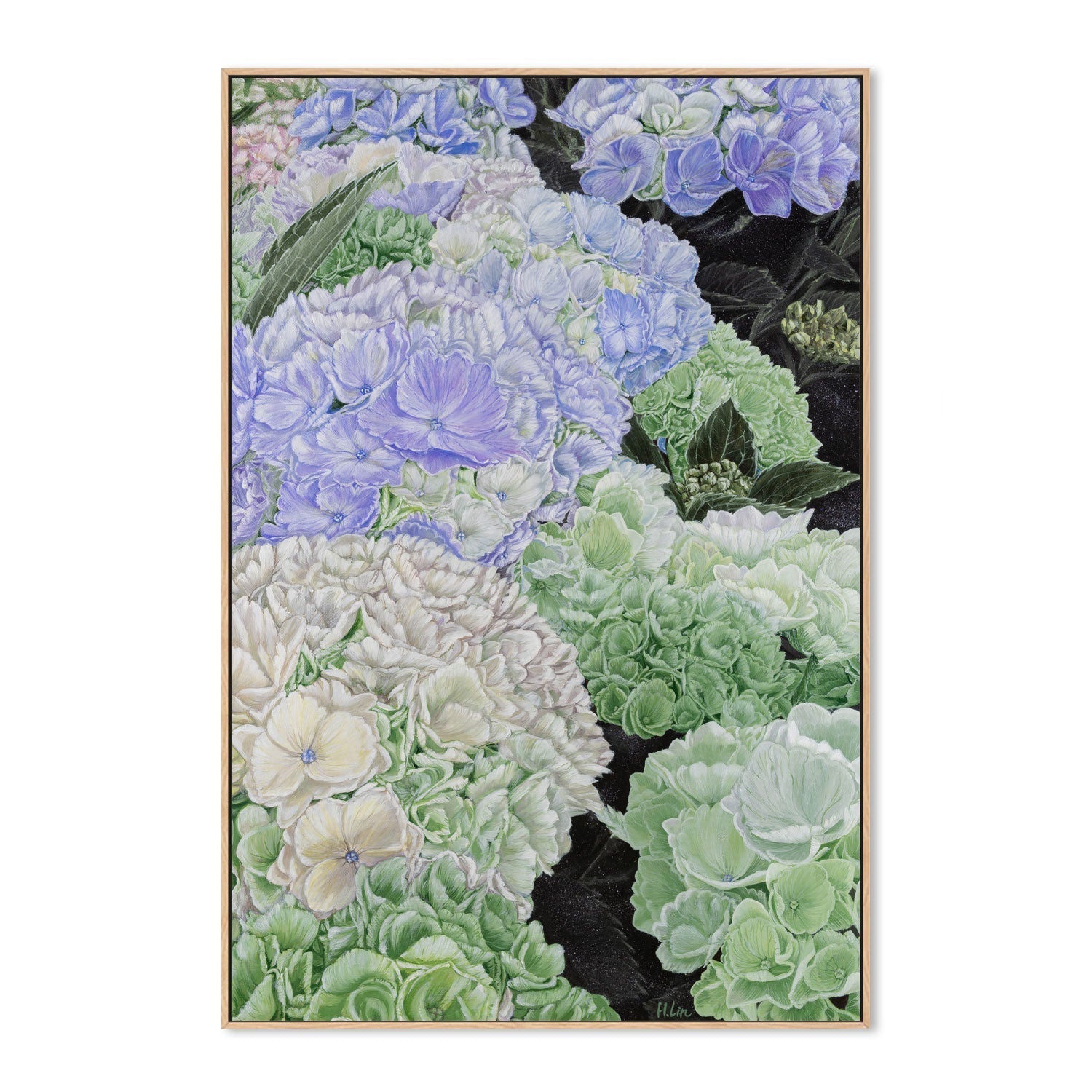 wall-art-print-canvas-poster-framed-Premium Hydrangea , By Hsin Lin-GIOIA-WALL-ART