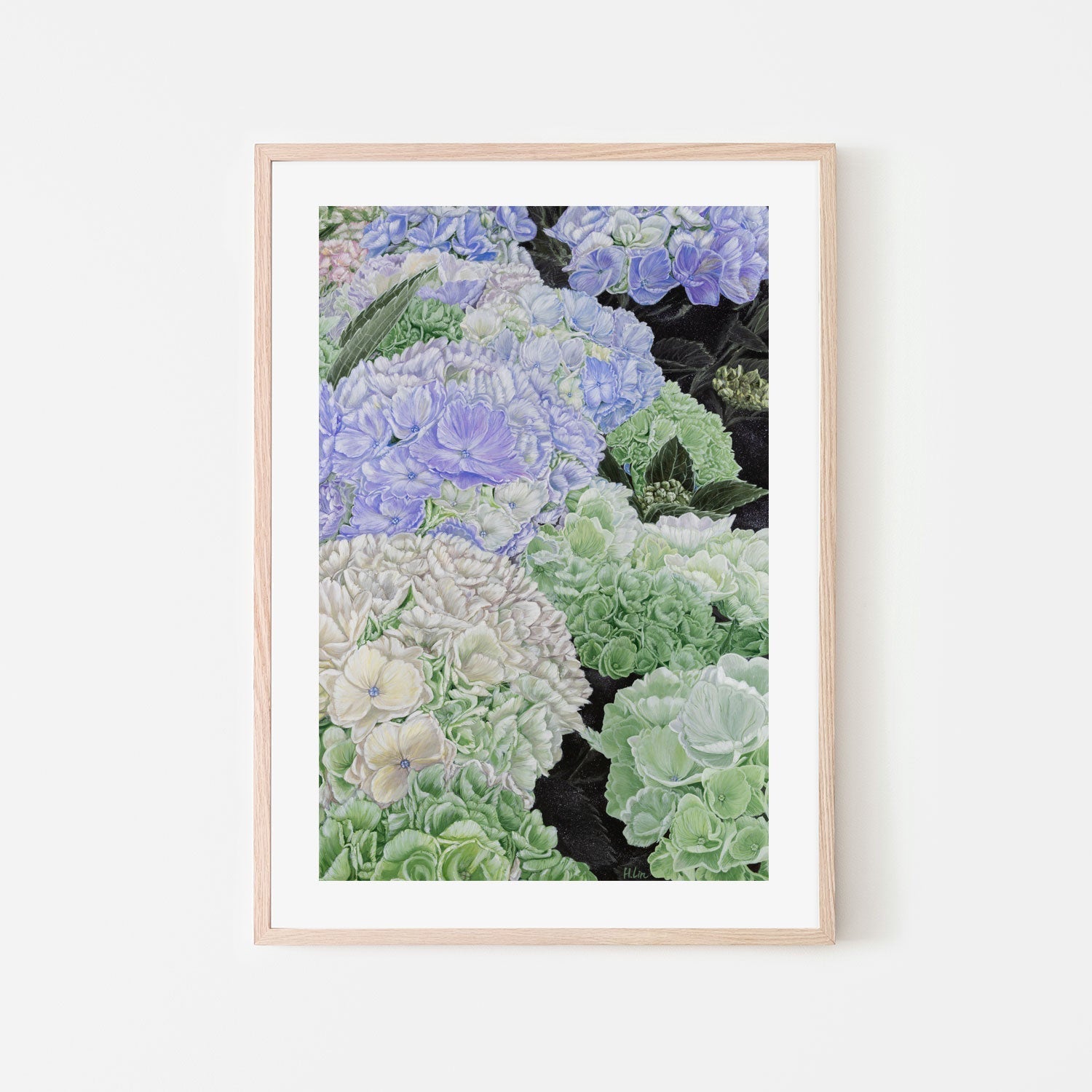 wall-art-print-canvas-poster-framed-Premium Hydrangea , By Hsin Lin-GIOIA-WALL-ART