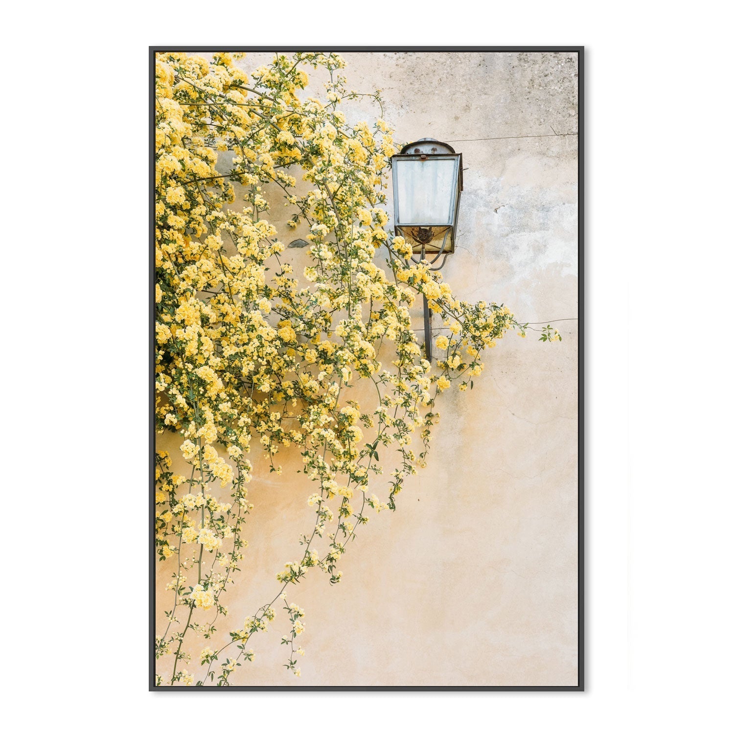 wall-art-print-canvas-poster-framed-Primavera, Florence, Italy , By Leggera Studio-GIOIA-WALL-ART