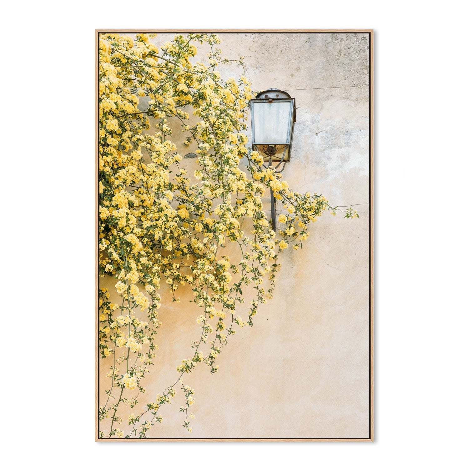 wall-art-print-canvas-poster-framed-Primavera, Florence, Italy , By Leggera Studio-GIOIA-WALL-ART