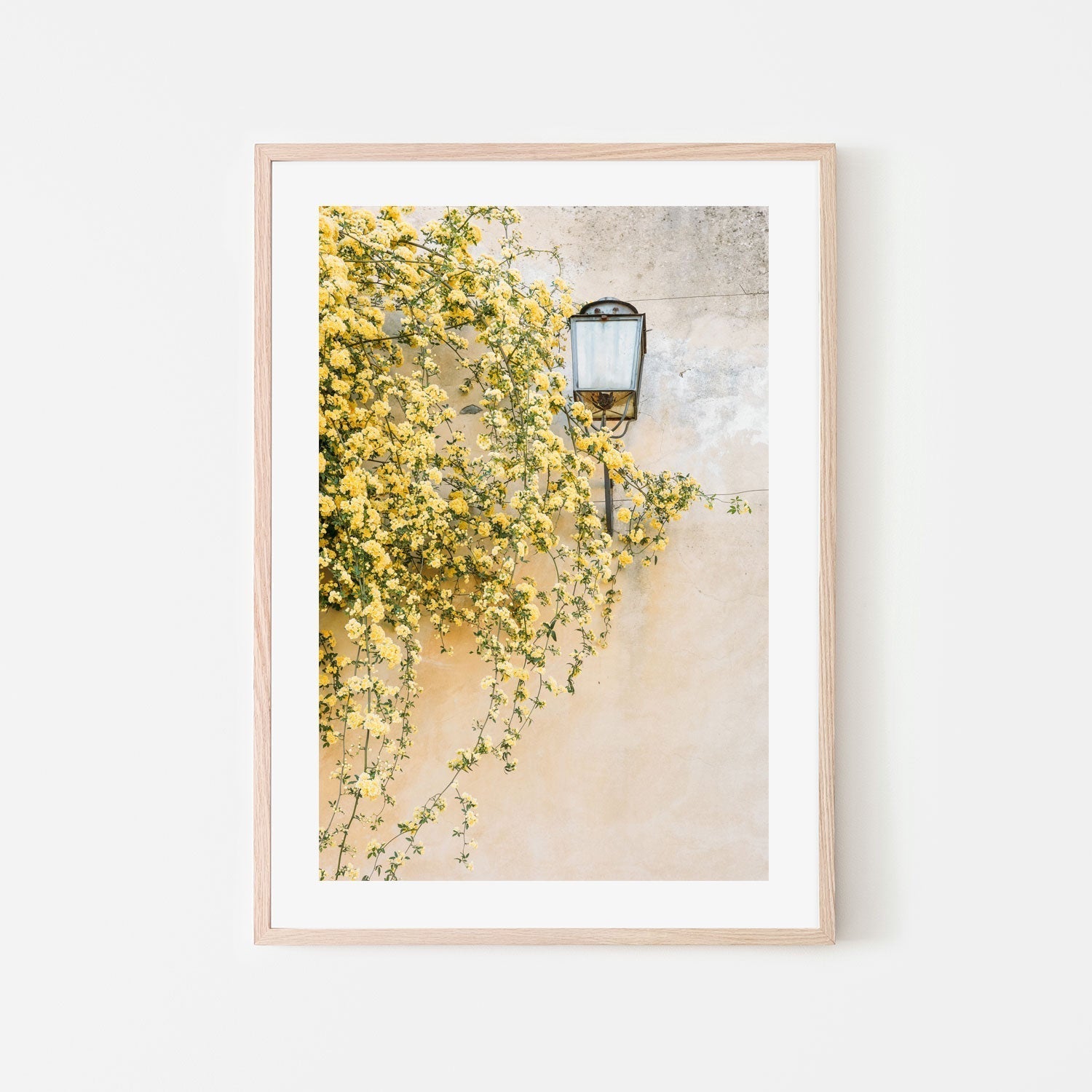 wall-art-print-canvas-poster-framed-Primavera, Florence, Italy , By Leggera Studio-GIOIA-WALL-ART