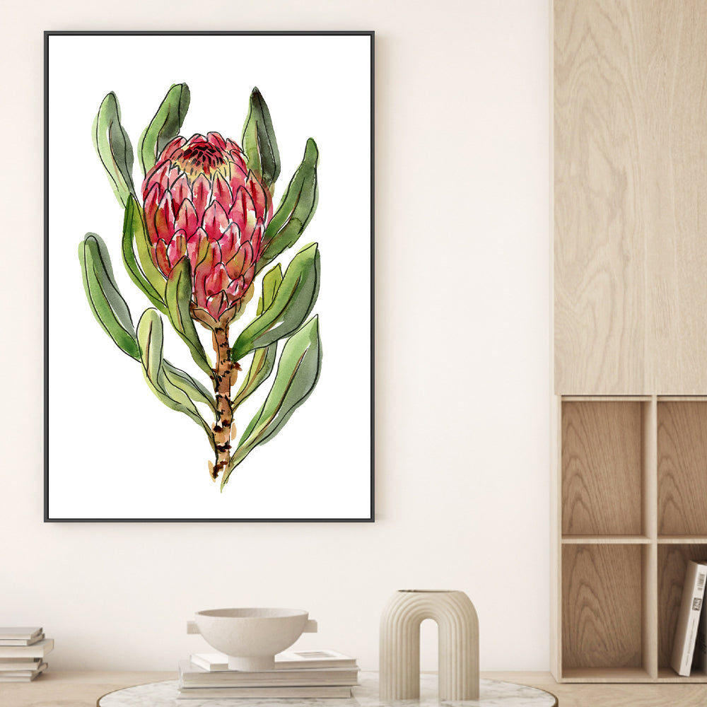 wall-art-print-canvas-poster-framed-Protea , By Jessie Mitchelson-GIOIA-WALL-ART