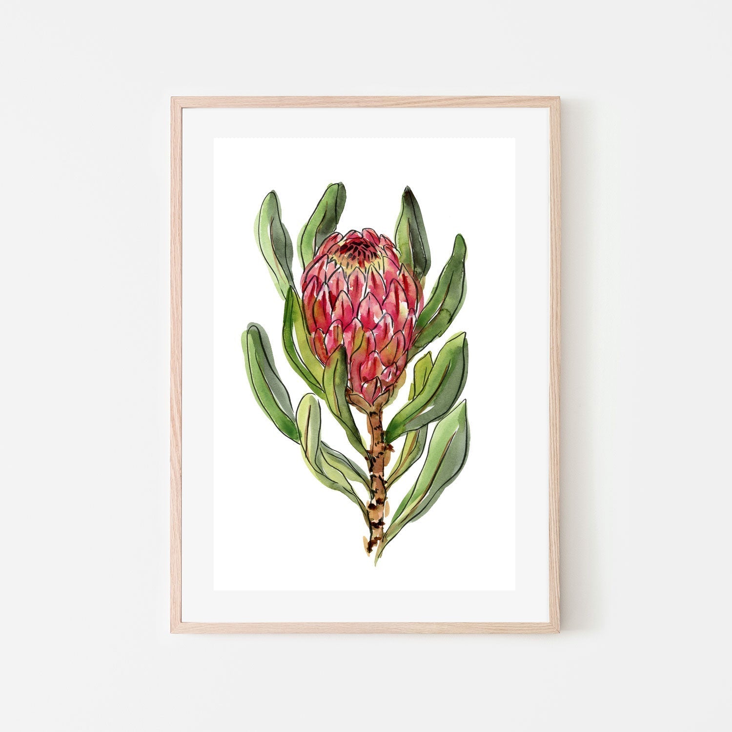 wall-art-print-canvas-poster-framed-Protea , By Jessie Mitchelson-GIOIA-WALL-ART