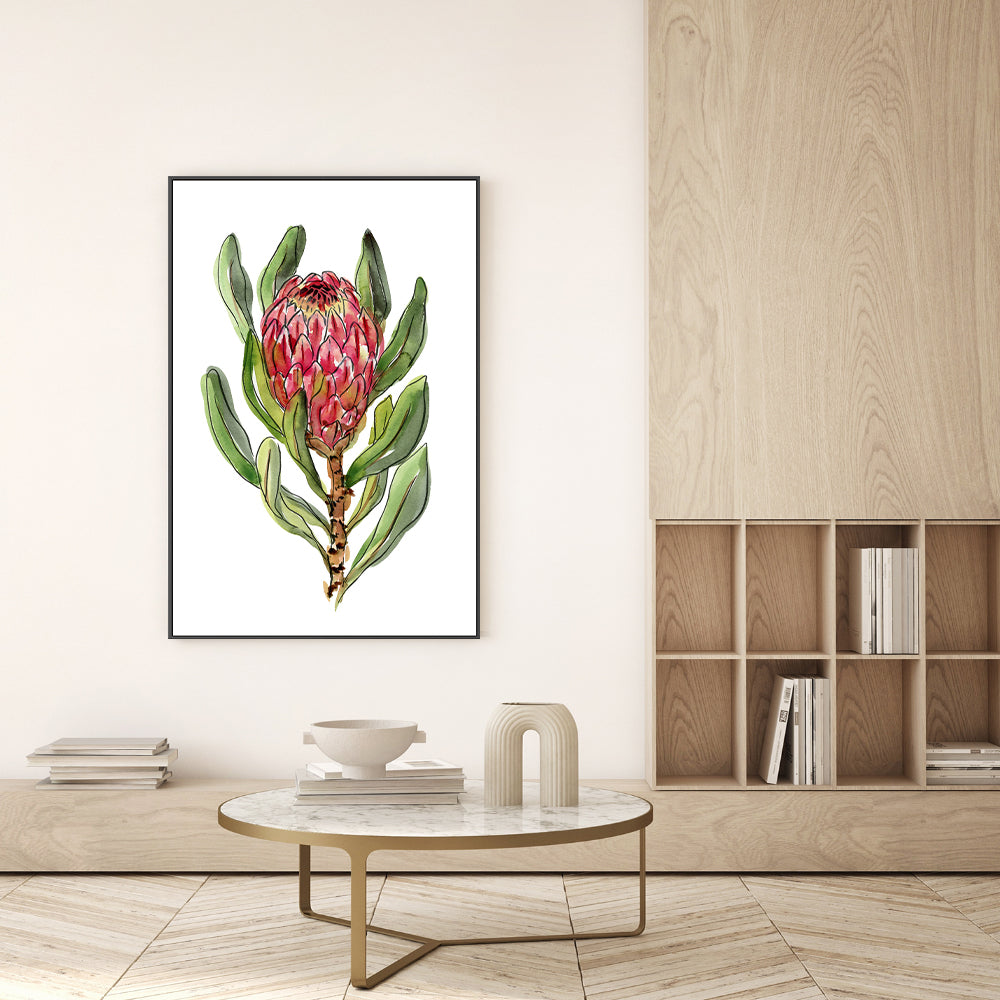 wall-art-print-canvas-poster-framed-Protea , By Jessie Mitchelson-GIOIA-WALL-ART