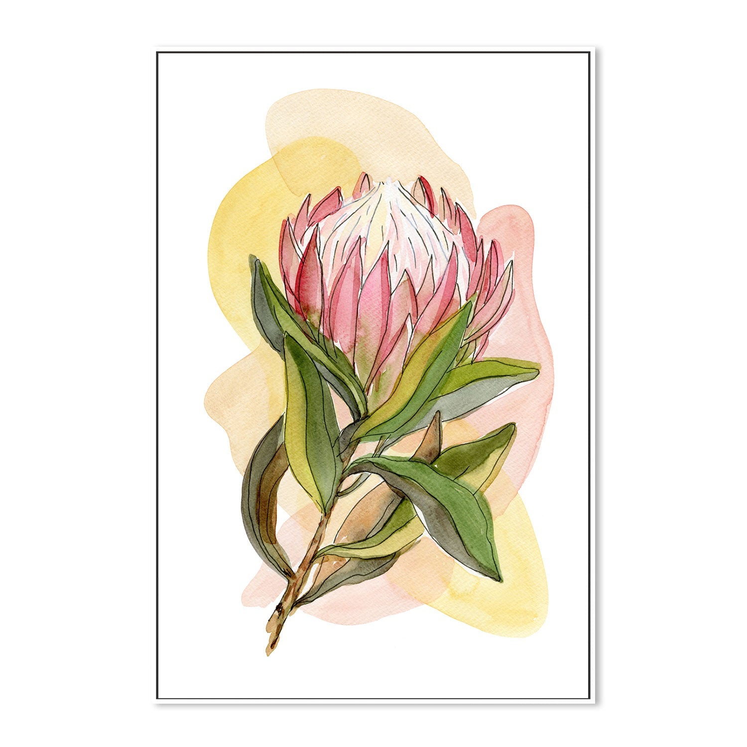 wall-art-print-canvas-poster-framed-Protea Line Drawing , By Jessie Mitchelson-GIOIA-WALL-ART