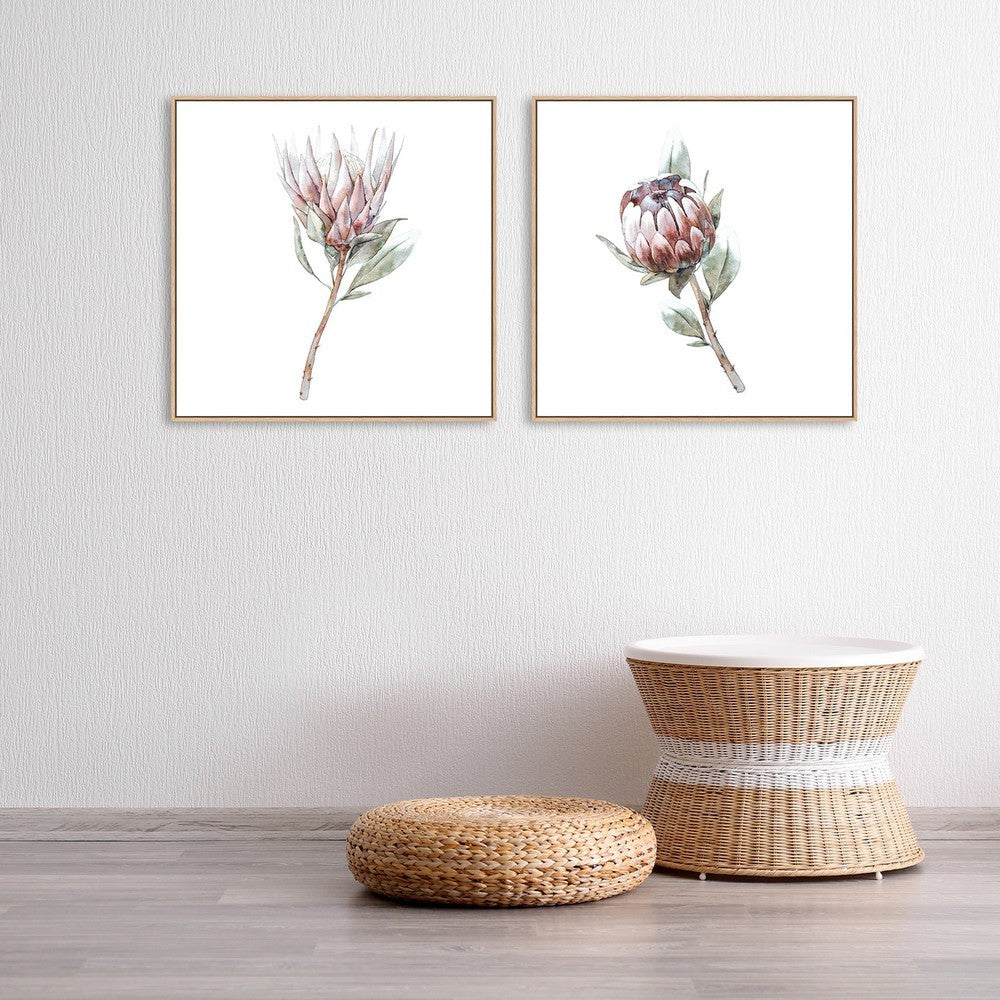 wall-art-print-canvas-poster-framed-Protea Pair, Watercolour Painting Style, Set Of 2-by-Gioia Wall Art-Gioia Wall Art