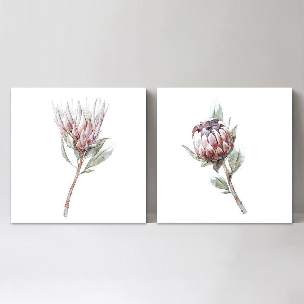 wall-art-print-canvas-poster-framed-Protea Pair, Watercolour Painting Style, Set Of 2-by-Gioia Wall Art-Gioia Wall Art