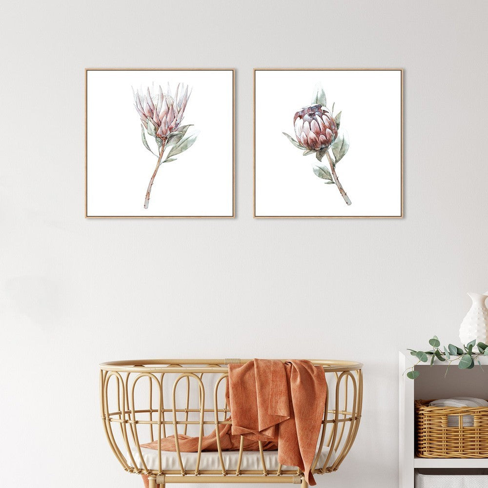 wall-art-print-canvas-poster-framed-Protea Pair, Watercolour Painting Style, Set Of 2-by-Gioia Wall Art-Gioia Wall Art