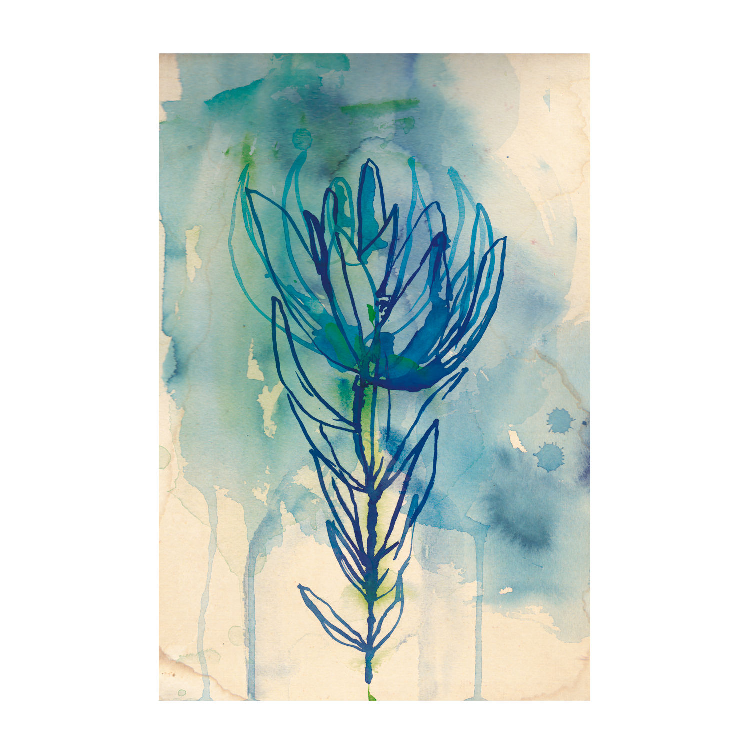 wall-art-print-canvas-poster-framed-Protea Wash , By Paula Mills-1