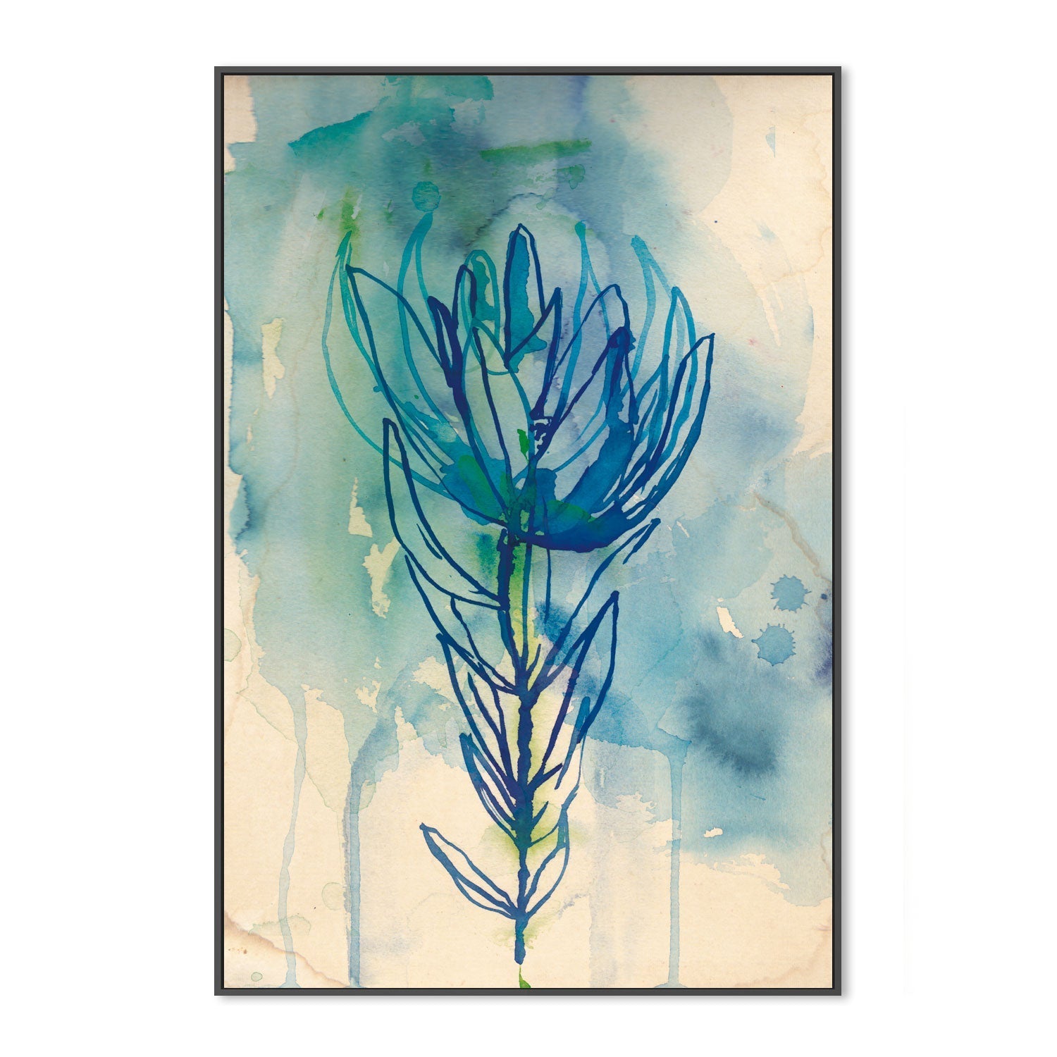 wall-art-print-canvas-poster-framed-Protea Wash , By Paula Mills-3