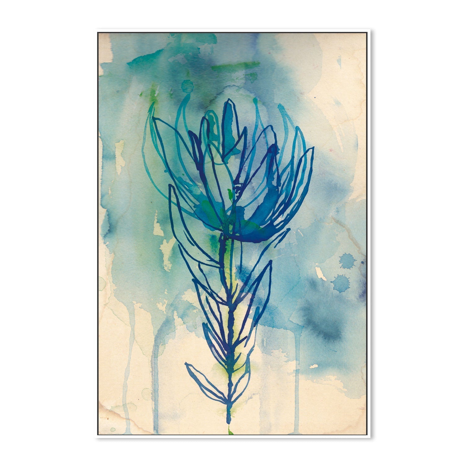 wall-art-print-canvas-poster-framed-Protea Wash , By Paula Mills-5