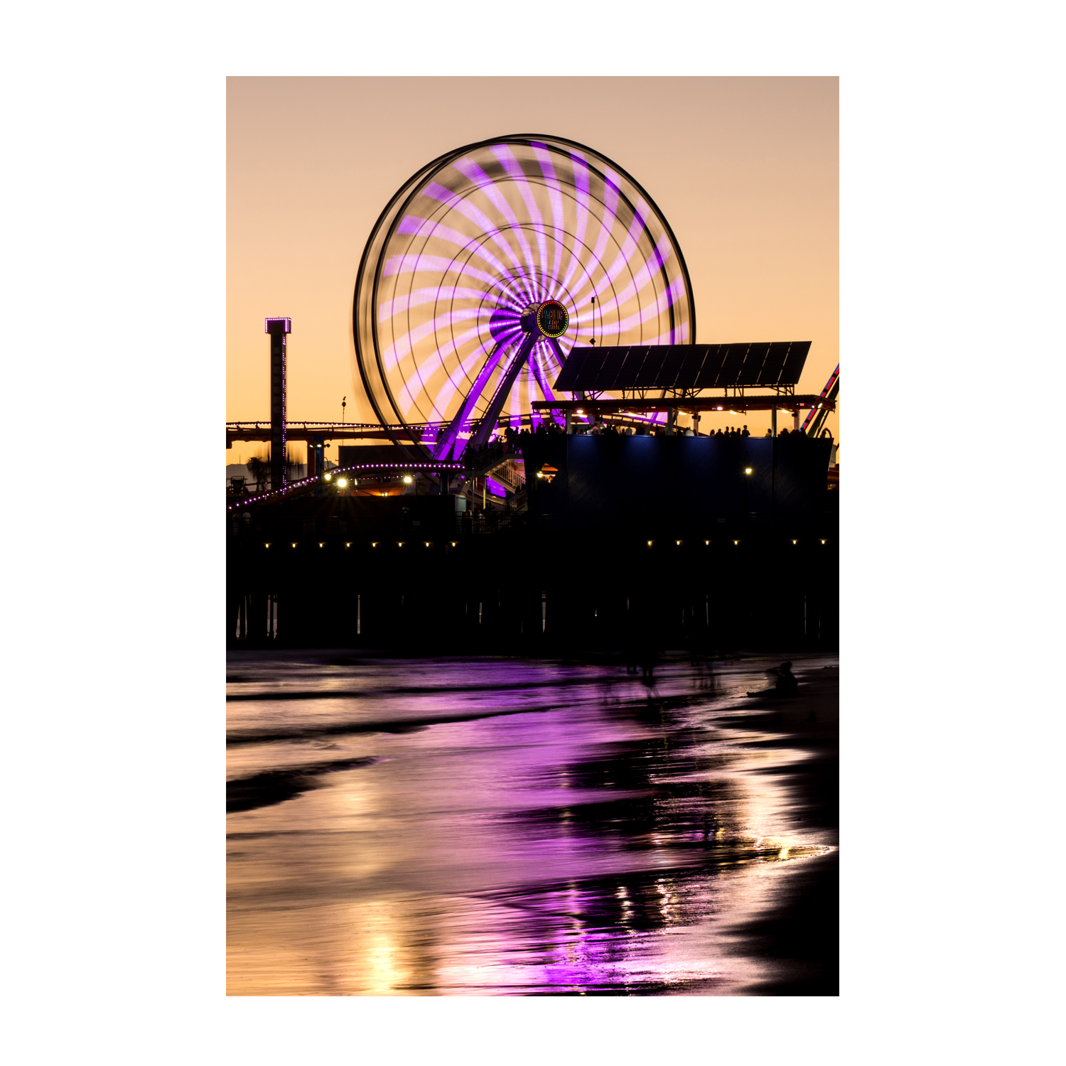 wall-art-print-canvas-poster-framed-Purple and Gold , By Richard Podgurski-1