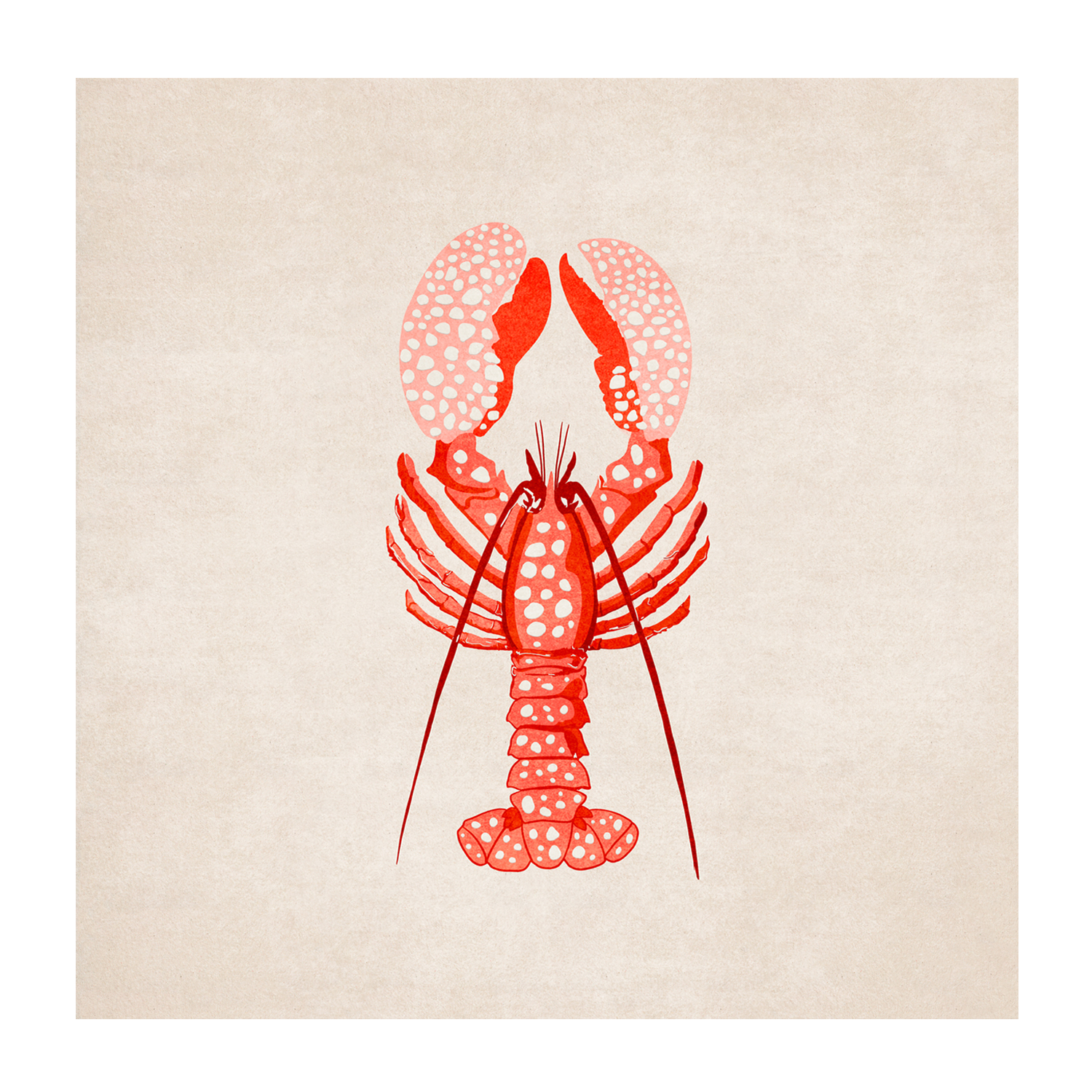 wall-art-print-canvas-poster-framed-Red Lobster , By Emel Tunaboylu-GIOIA-WALL-ART