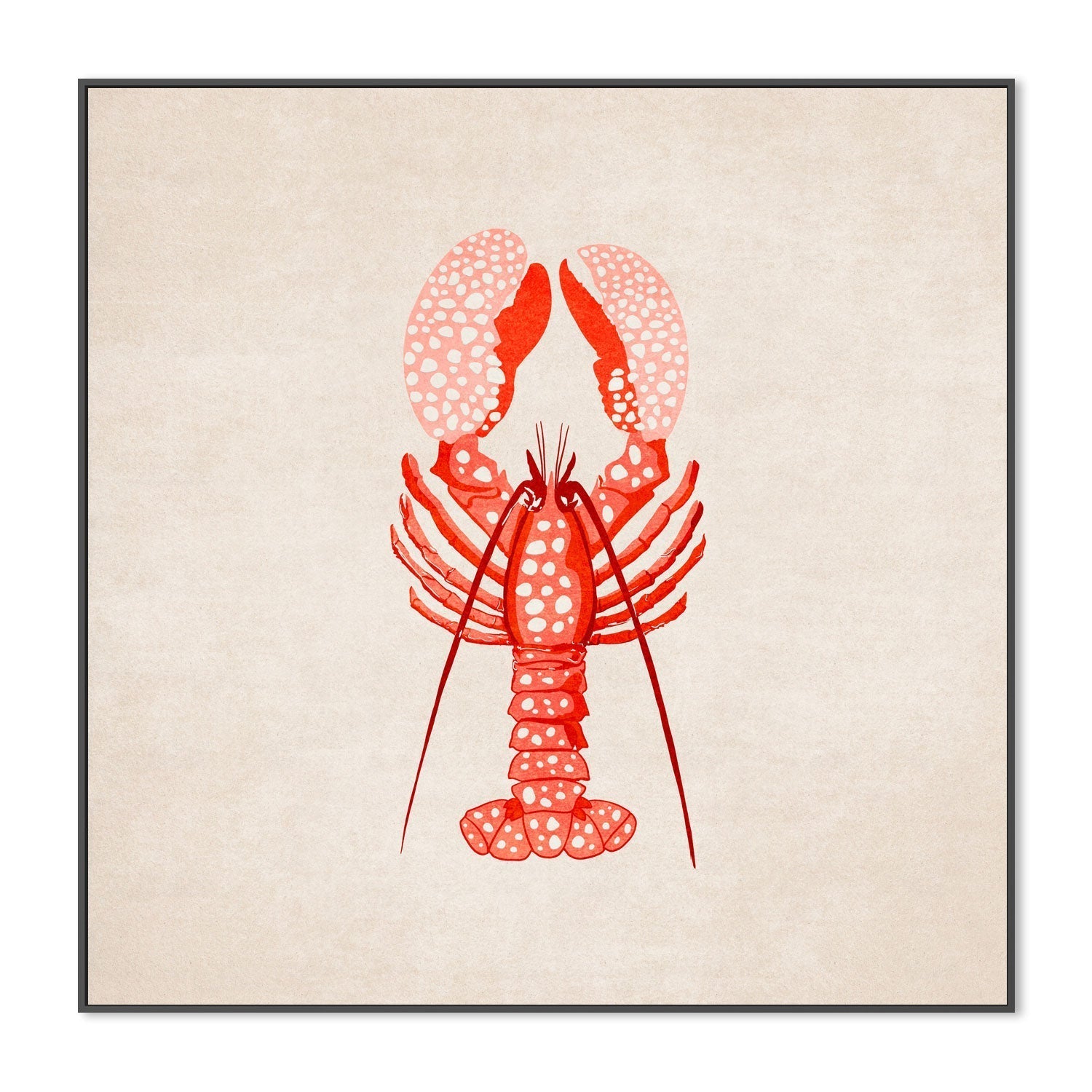 wall-art-print-canvas-poster-framed-Red Lobster , By Emel Tunaboylu-GIOIA-WALL-ART