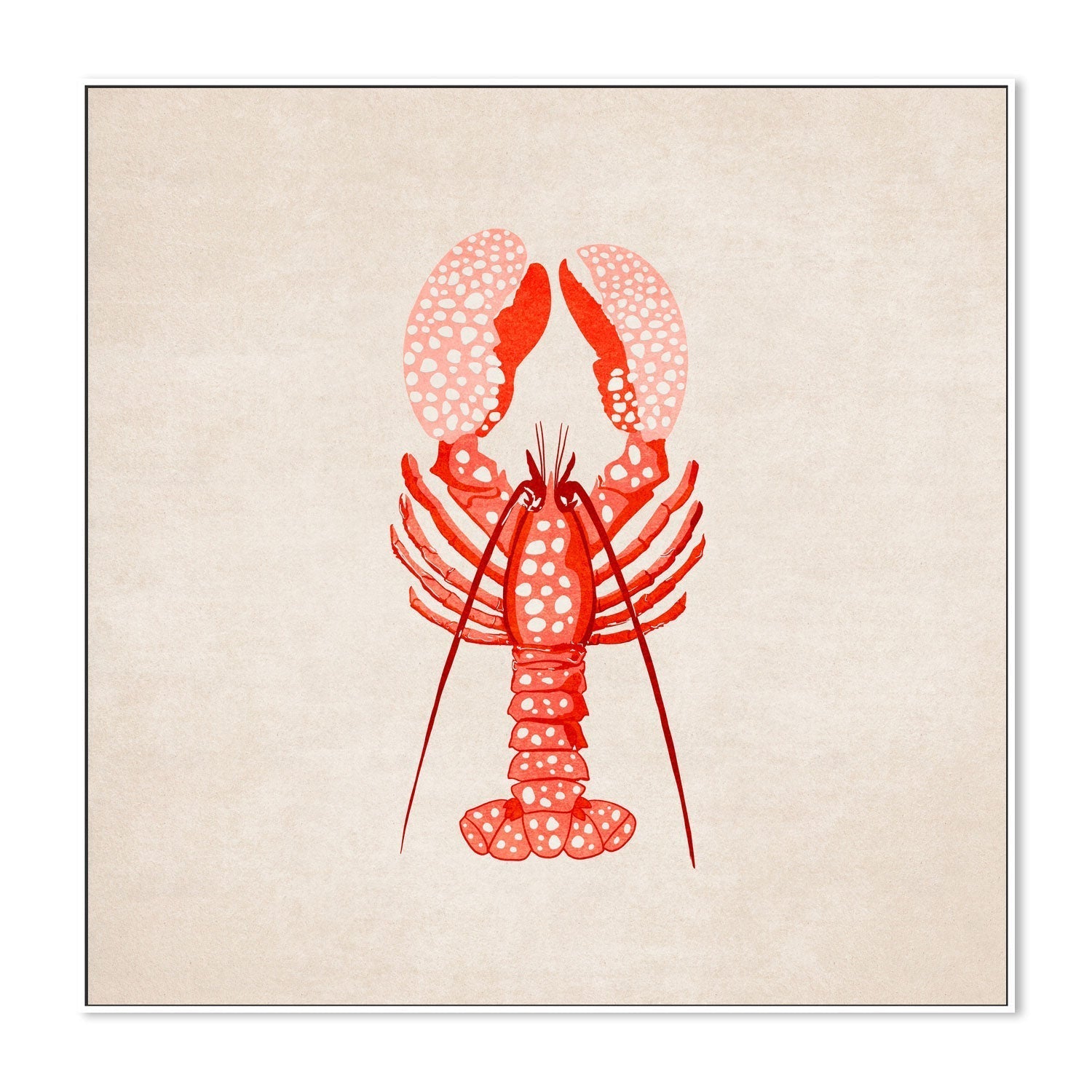 wall-art-print-canvas-poster-framed-Red Lobster , By Emel Tunaboylu-GIOIA-WALL-ART