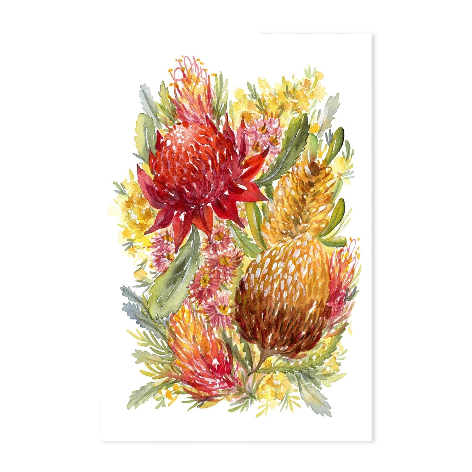 wall-art-print-canvas-poster-framed-Red Waratah , By Jessie Mitchelson-GIOIA-WALL-ART