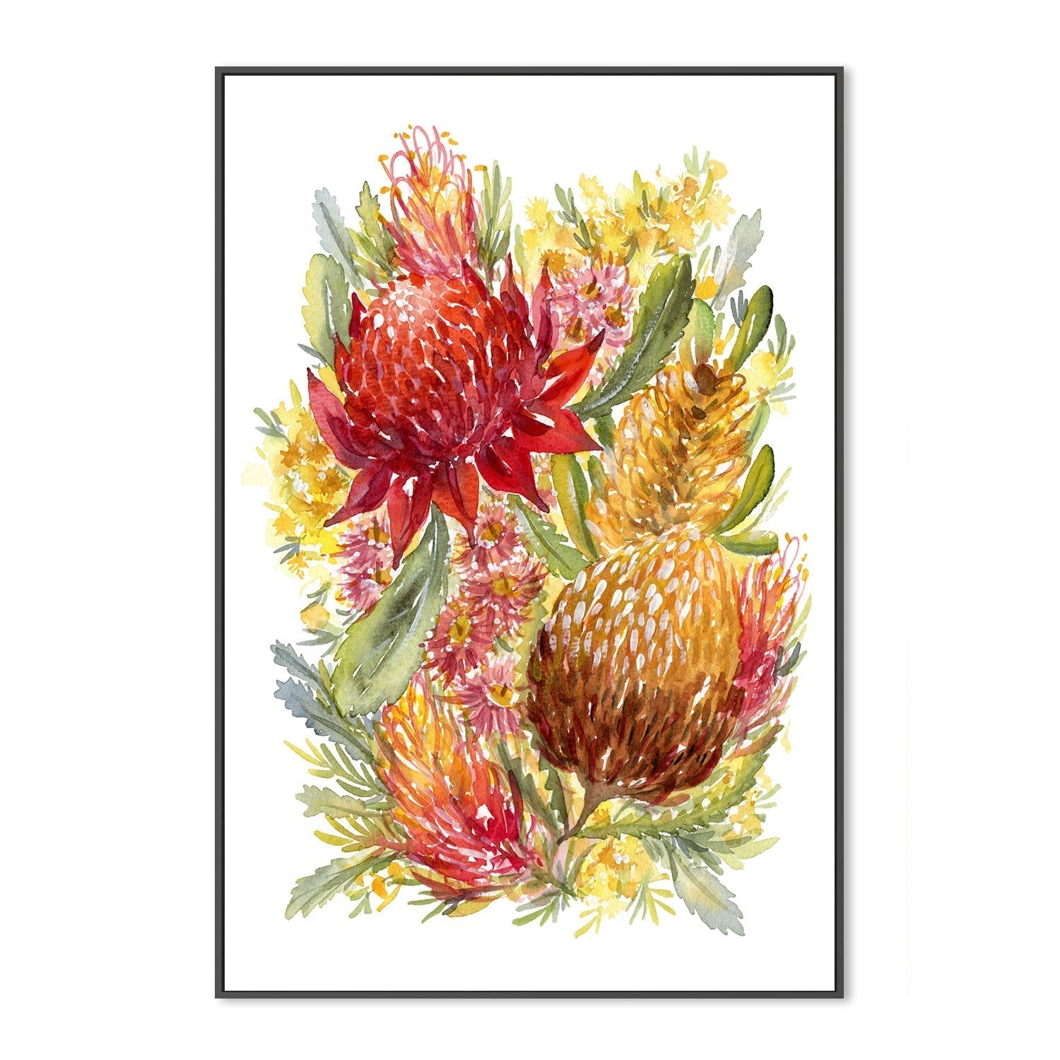 wall-art-print-canvas-poster-framed-Red Waratah , By Jessie Mitchelson-GIOIA-WALL-ART