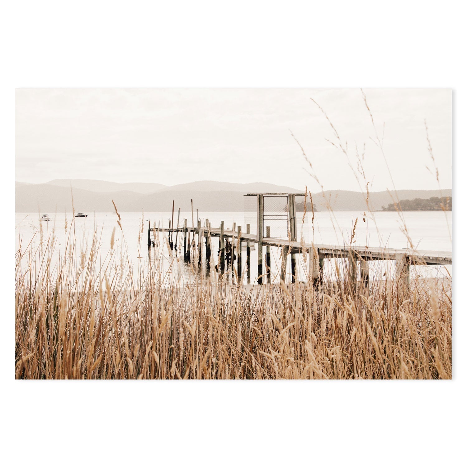 wall-art-print-canvas-poster-framed-Reeds, Port Arthur, Tasmania , By Earth Sea & Me , By Earth Sea & Me-GIOIA-WALL-ART